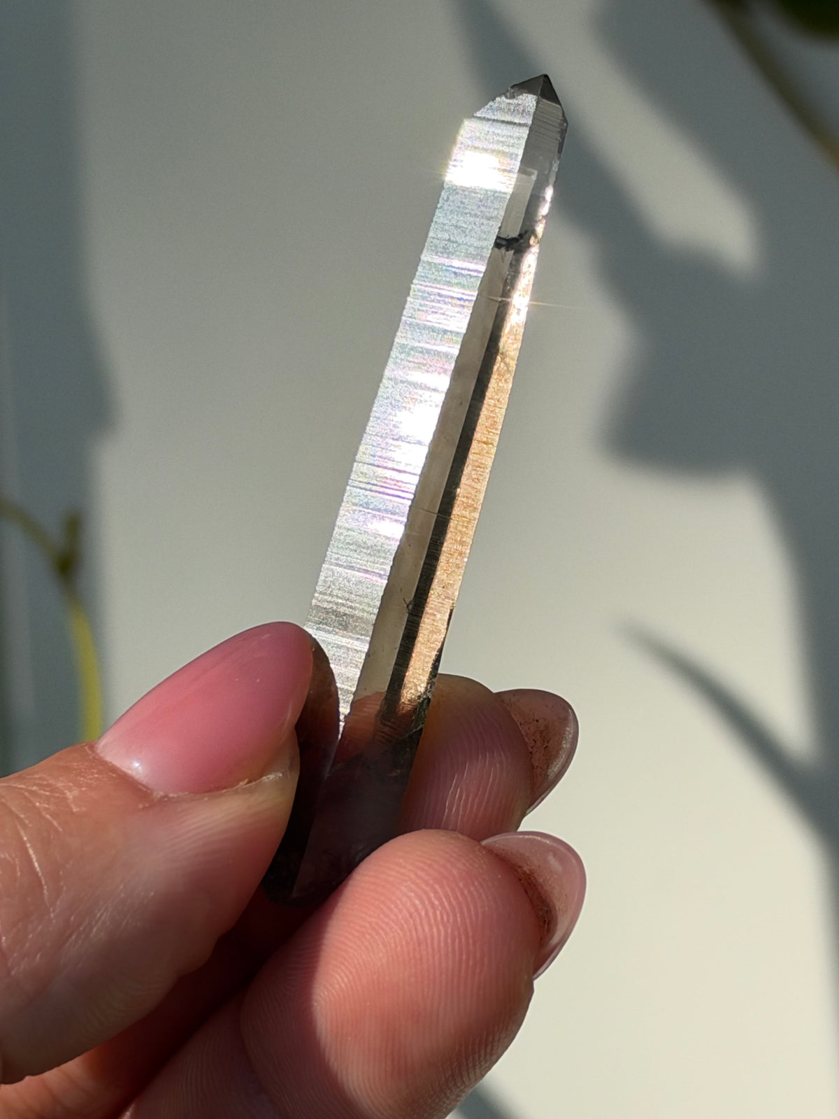 Smoky Quartz, Lincoln County New Mexico, USA