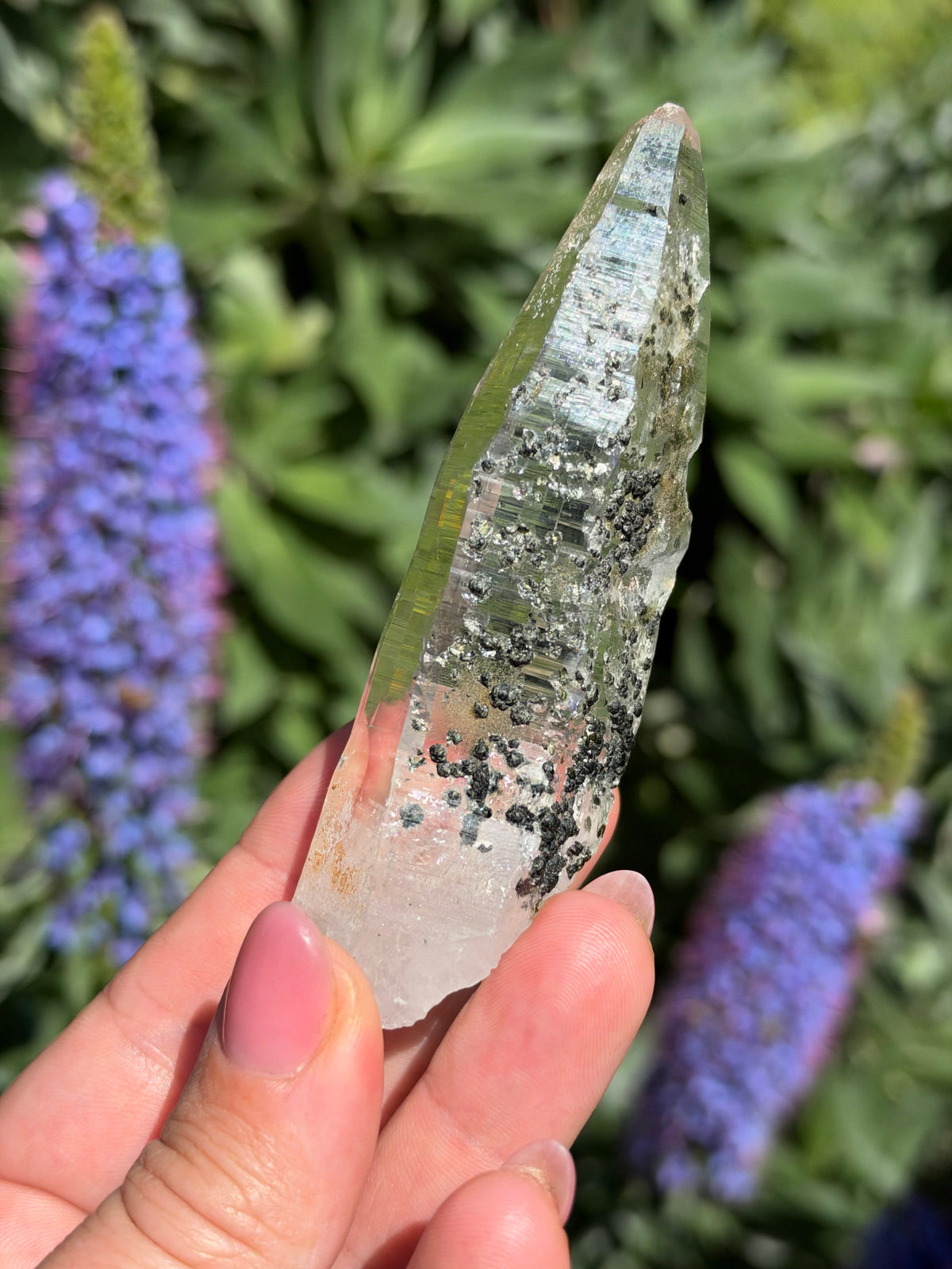 Tessin Quartz with Chlorite, Ganesh Himal, Nepal