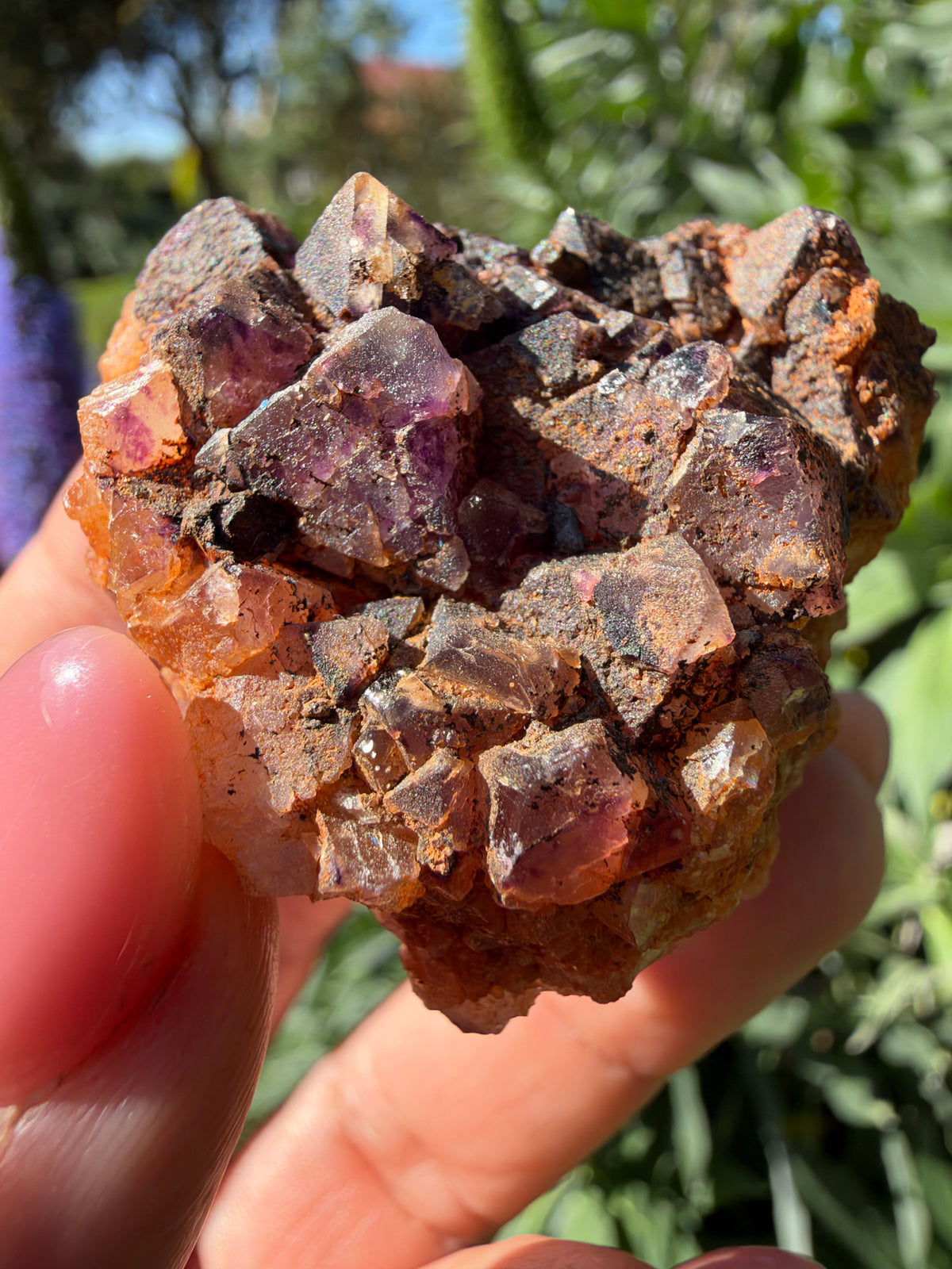 Octahedral Fluorite, Soldiers Cap, QLD, Australia