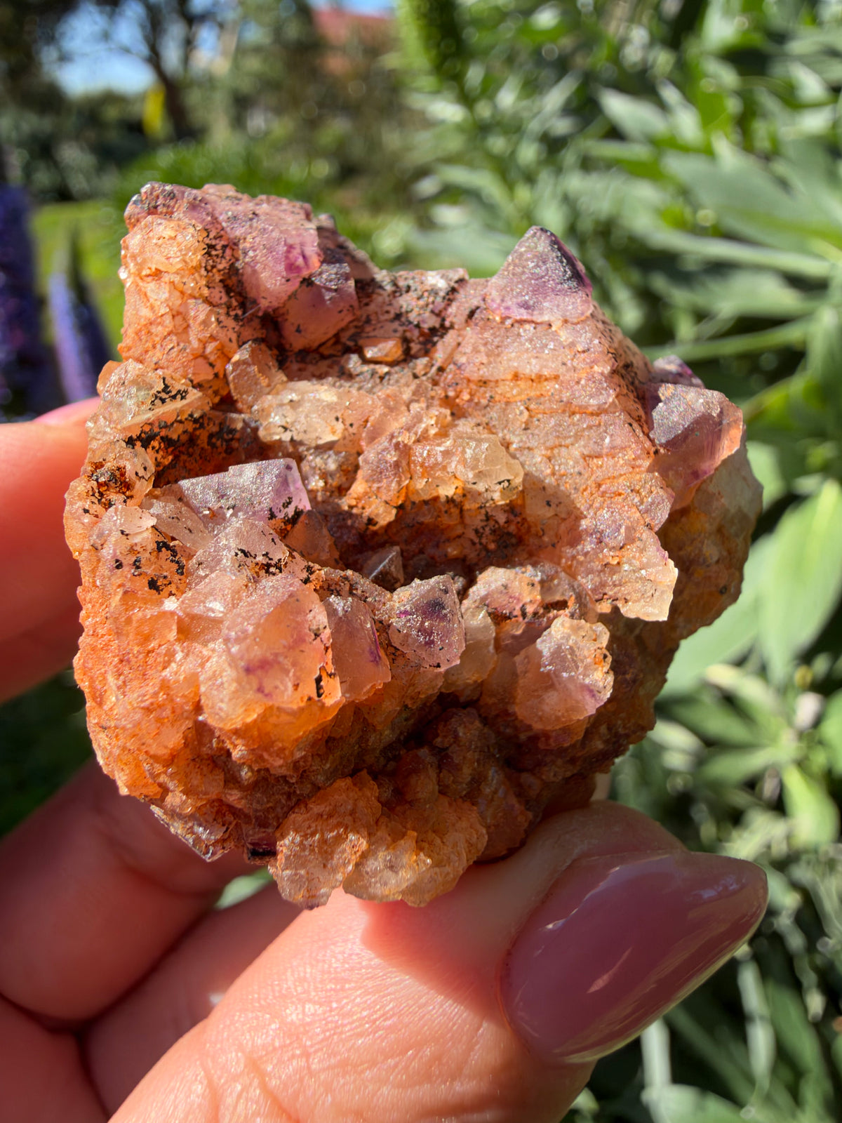 Octahedral Fluorite, Soldiers Cap, QLD, Australia