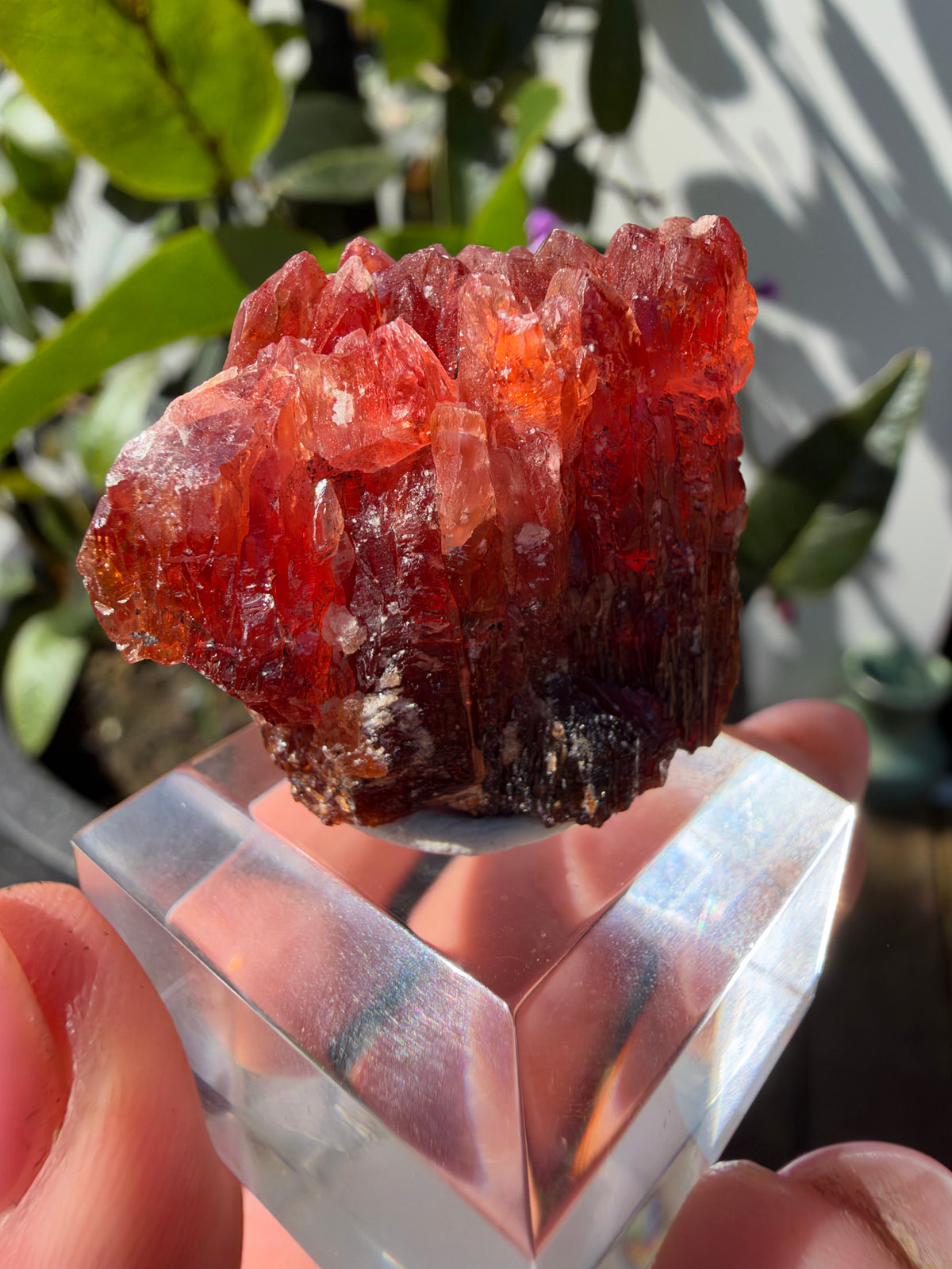 20.8g Rhodochrosite, N'Chwaning Mine, South Africa