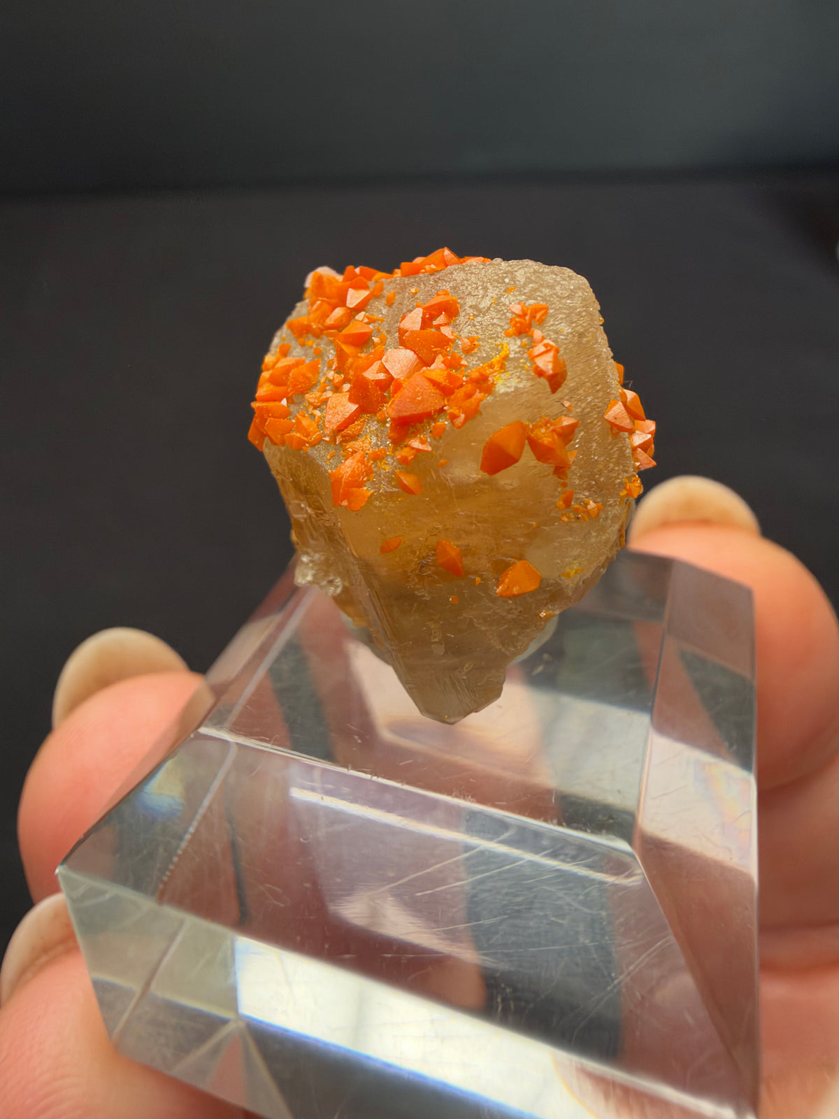 Wulfenite on Cerussite, Mibladen, Morocco