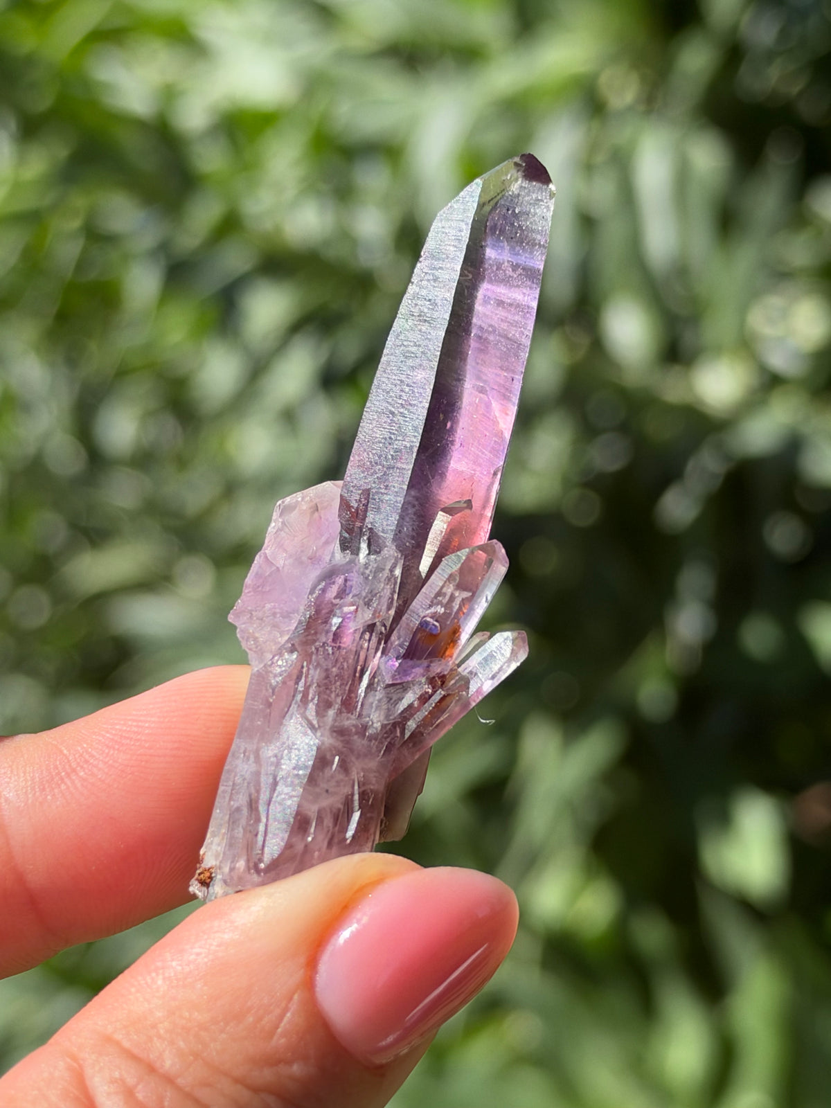 6.4cm Amethyst, Guerrero, Mexico
