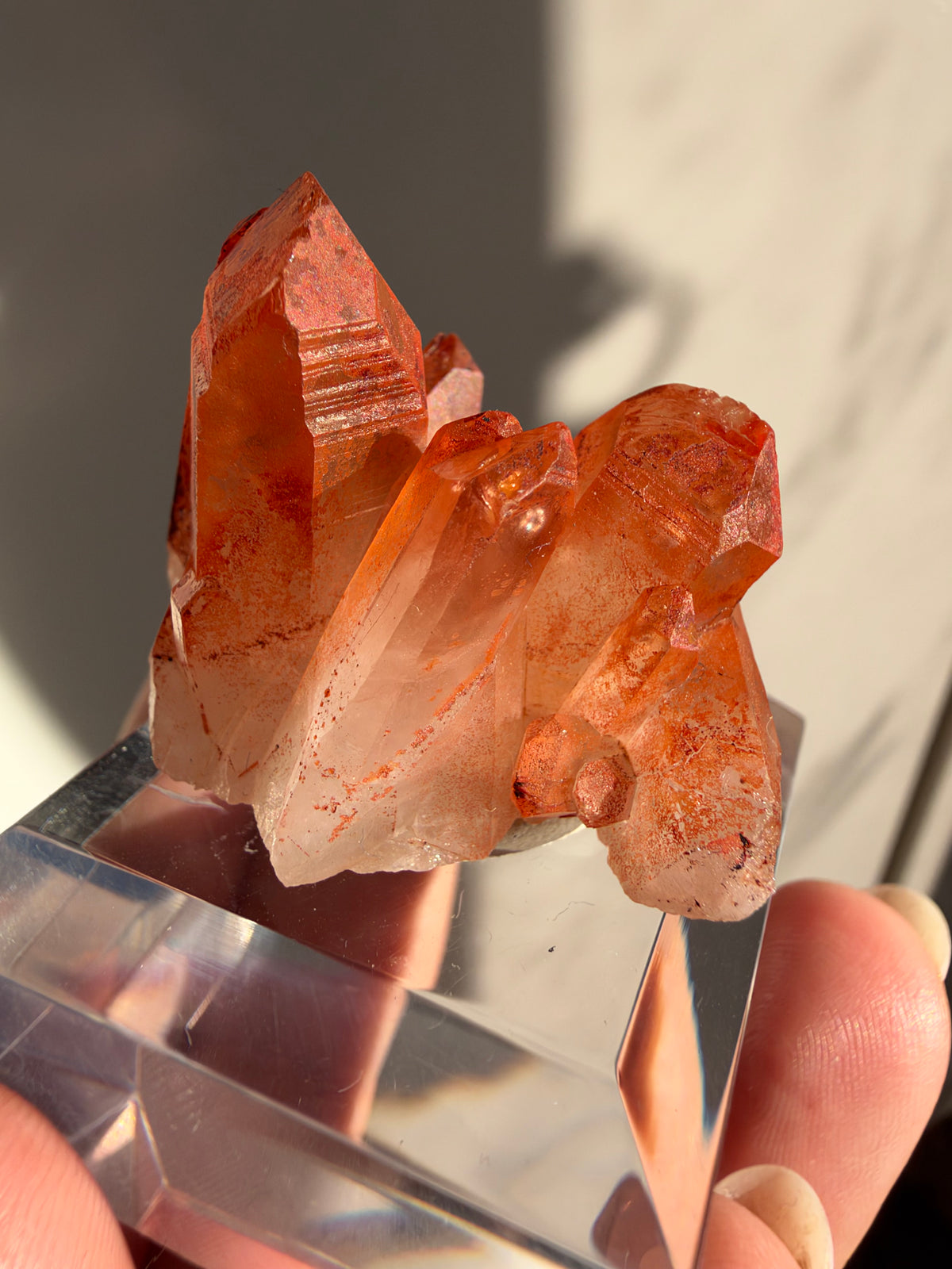 Ferruginous Quartz, Tinejdad, Morocco