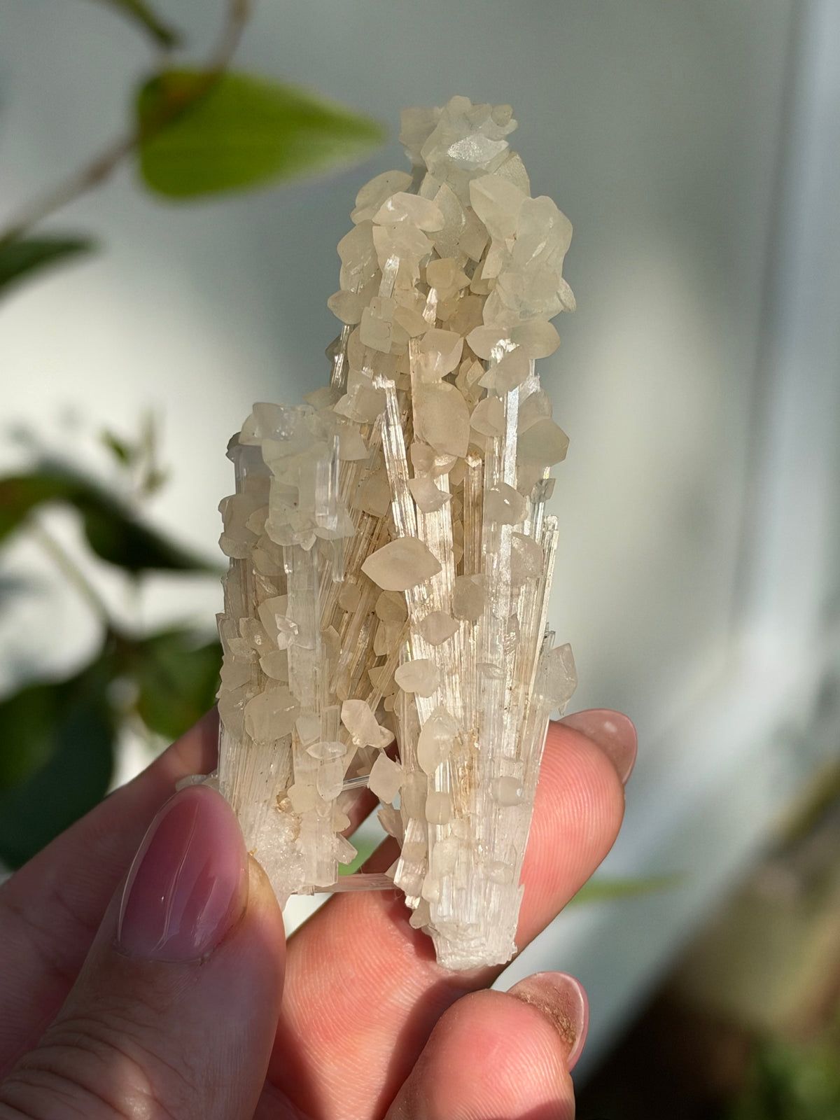 Calcite on Scolecite, Pune, India