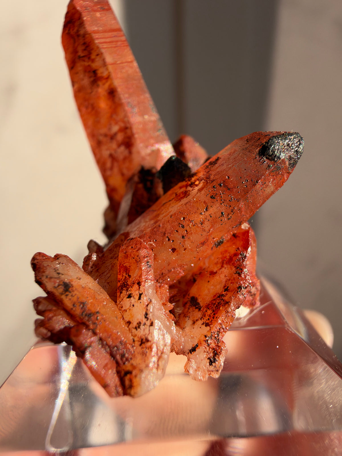 Ferruginous Quartz Miniature, Tinejdad, Morocco
