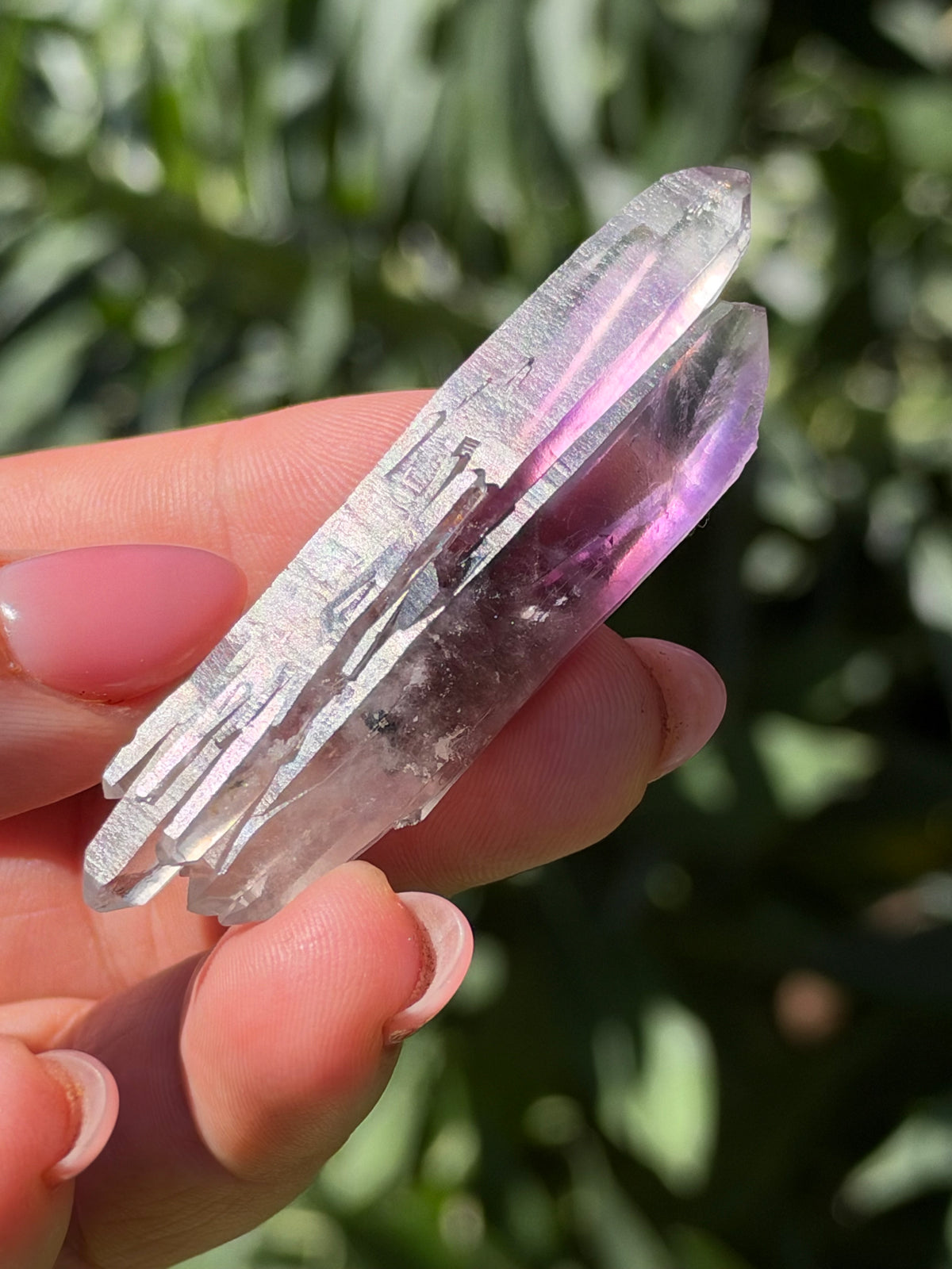 6.3cm Bowtie Amethyst, Guerrero, Mexico