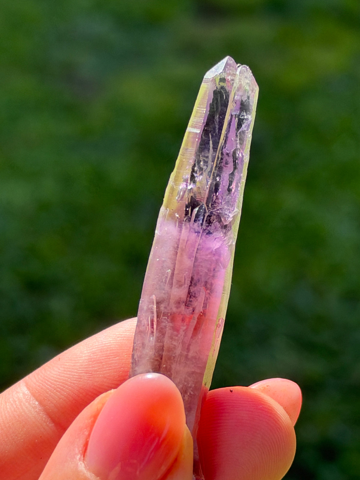 6.3cm Amethyst, Guerrero, Mexico