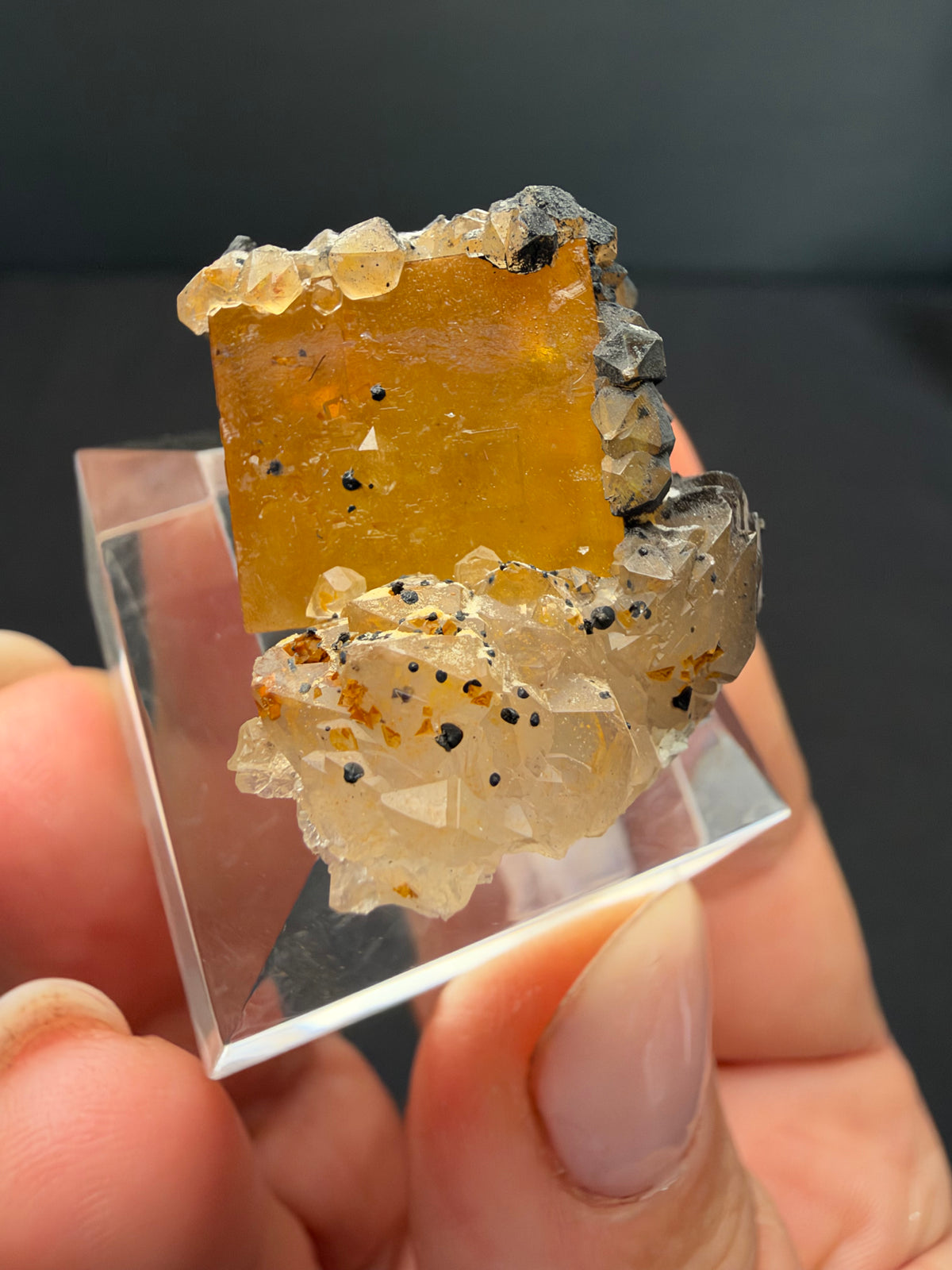 Fluorite with Quartz & Goethite, Sidi Said, Morocco