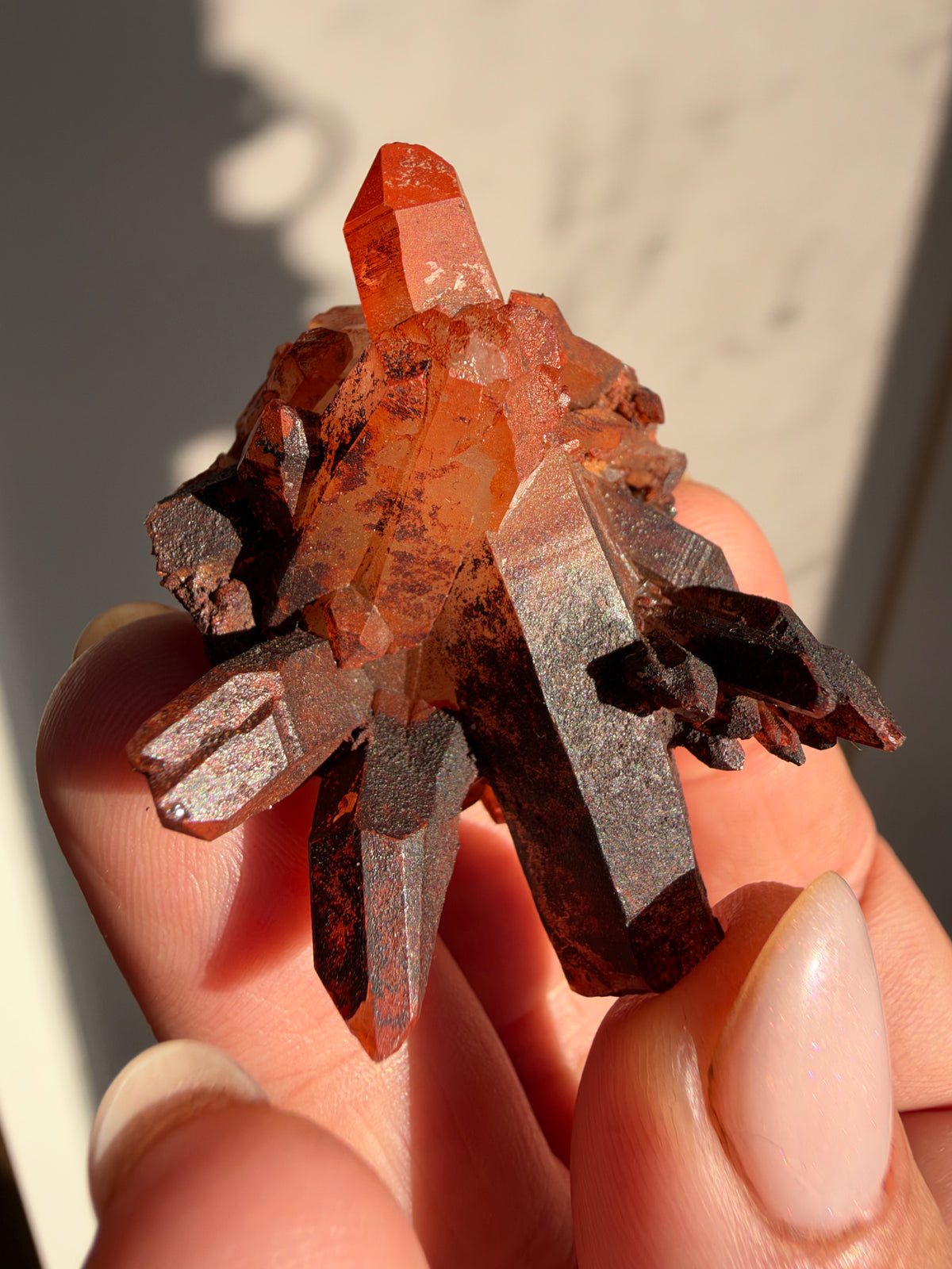 Ferruginous Quartz, Tinejdad, Morocco