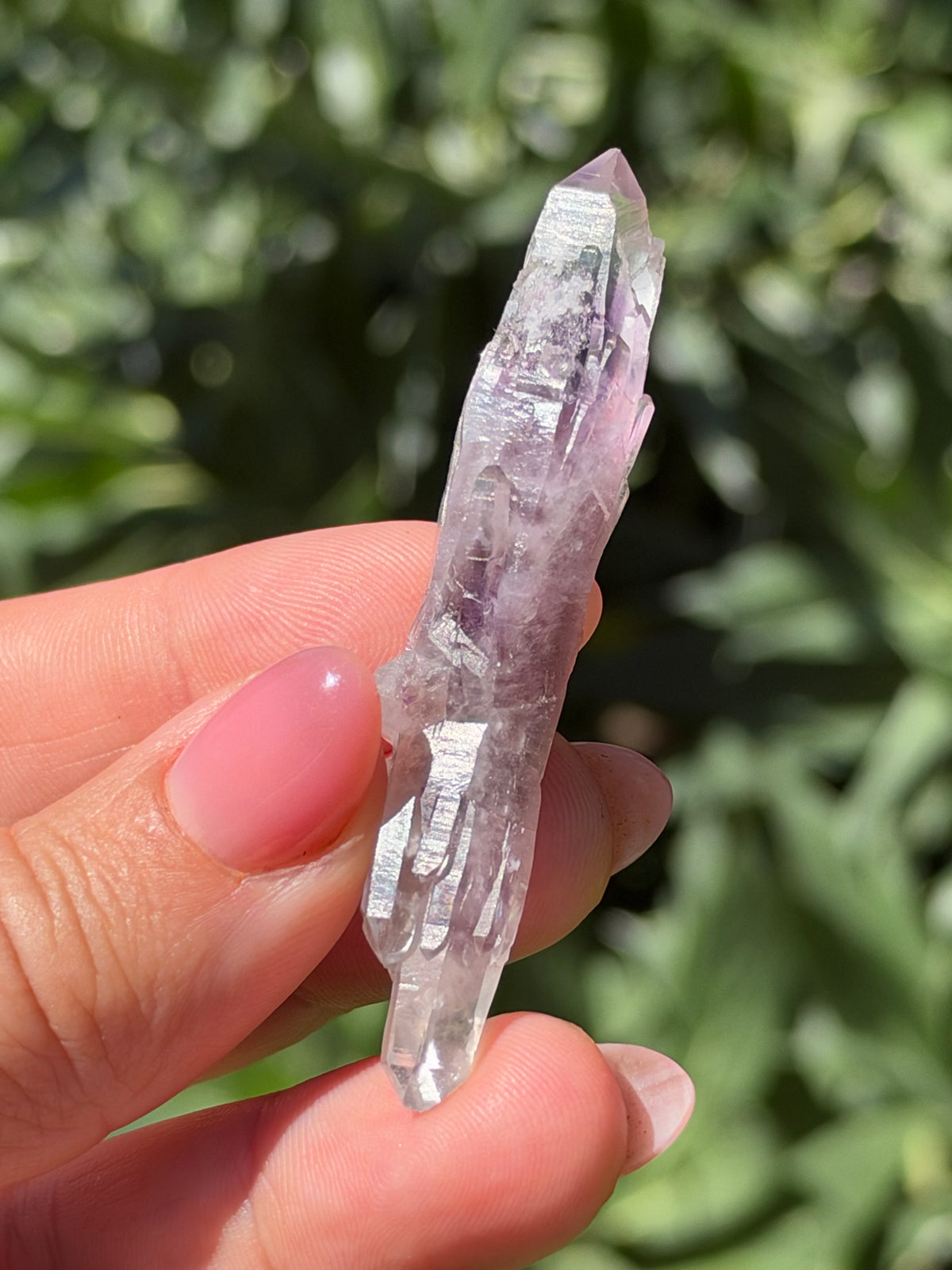 6.5cm Bowtie Amethyst, Guerrero, Mexico