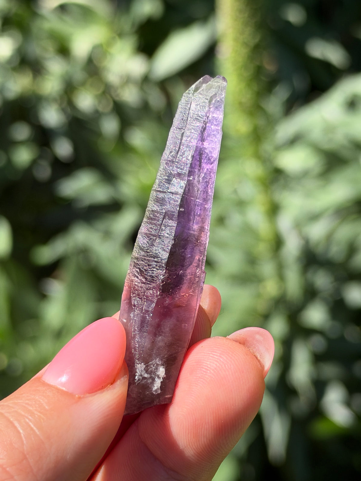 6.3cm Amethyst, Guerrero, Mexico