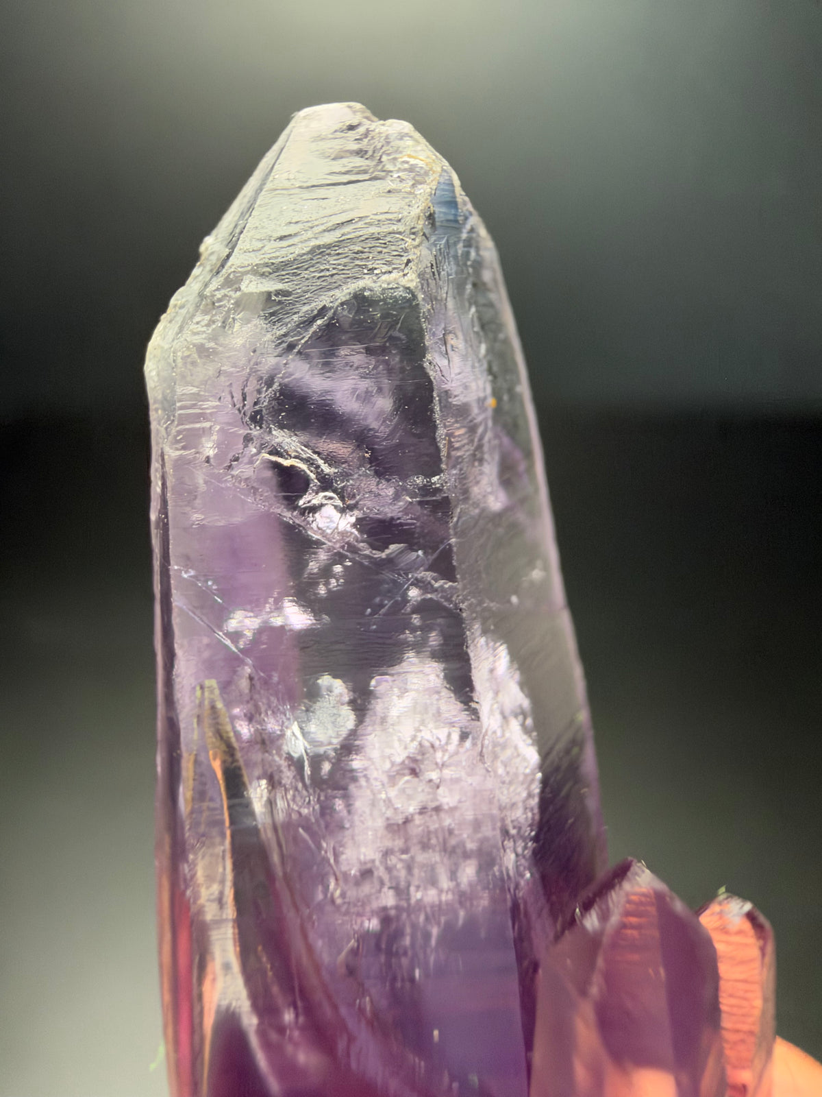 5.7cm Amethyst, Guerrero, Mexico