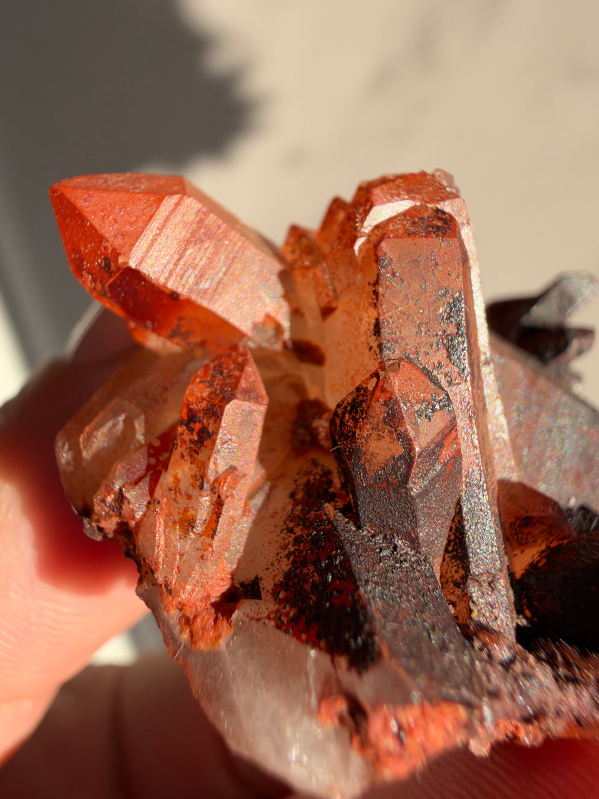 Ferruginous Quartz, Tinejdad, Morocco