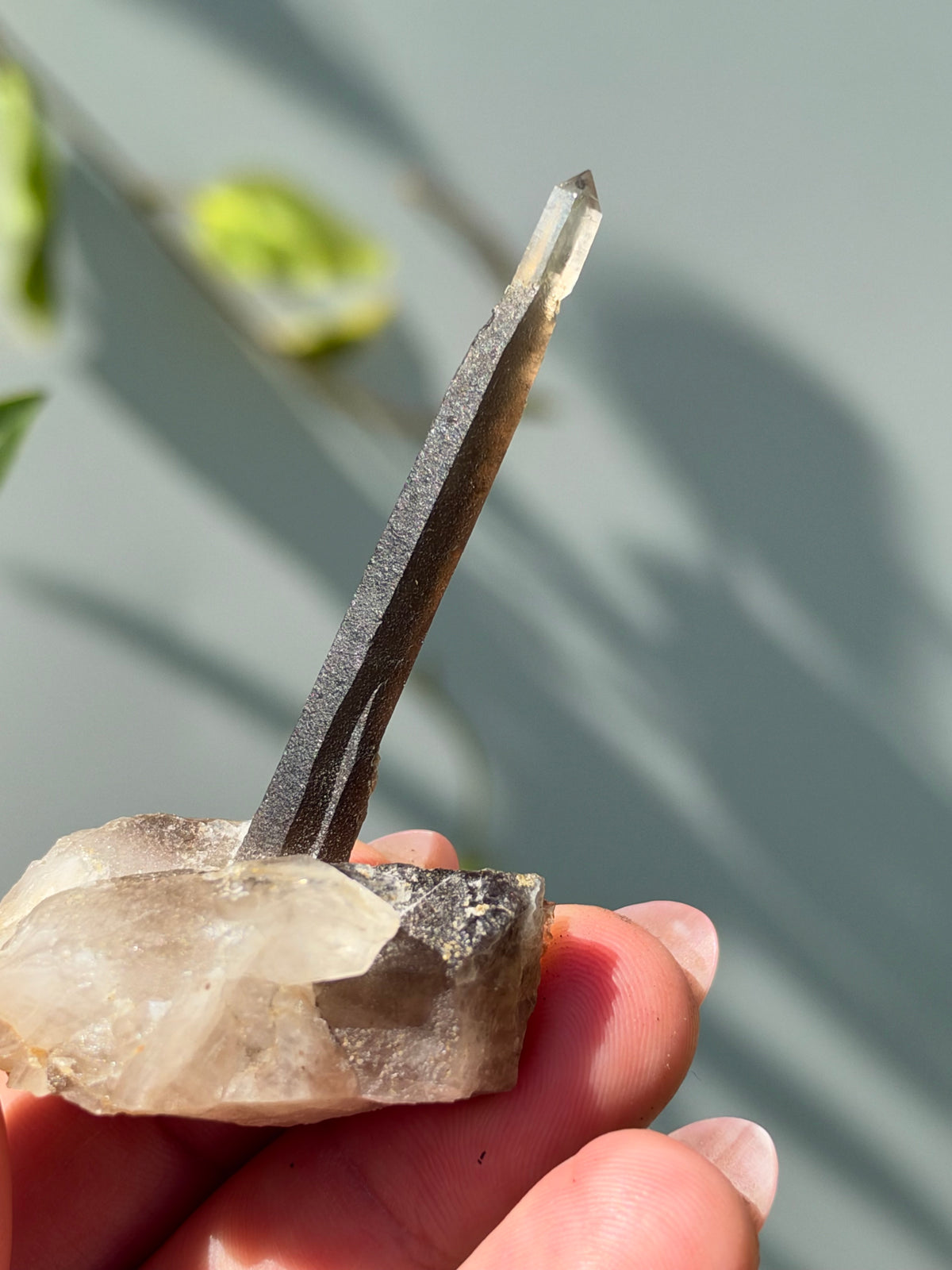 Smoky Quartz Scepter, Hallelujah Junction, Nevada, USA
