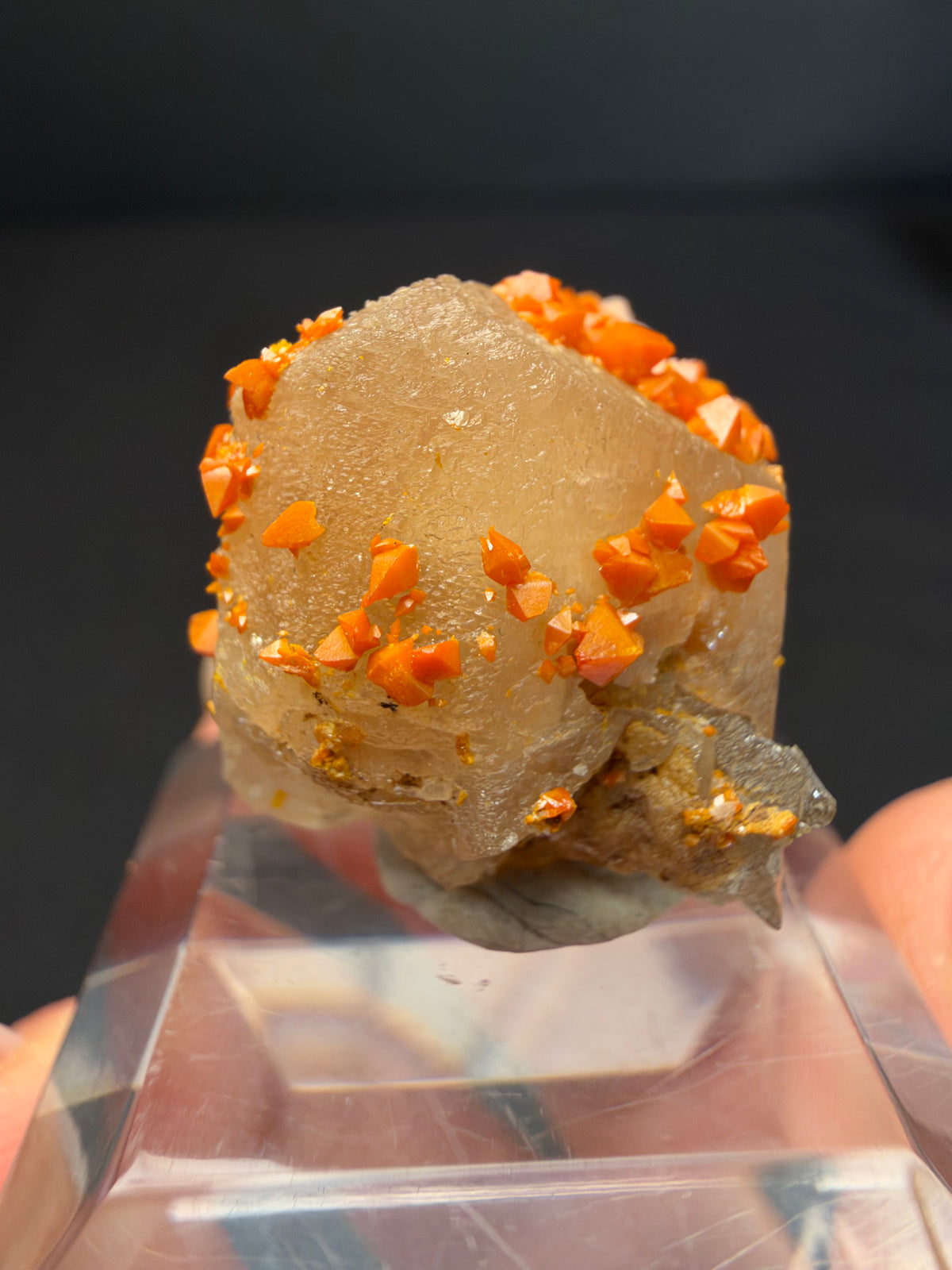 Wulfenite on Cerussite, Mibladen, Morocco