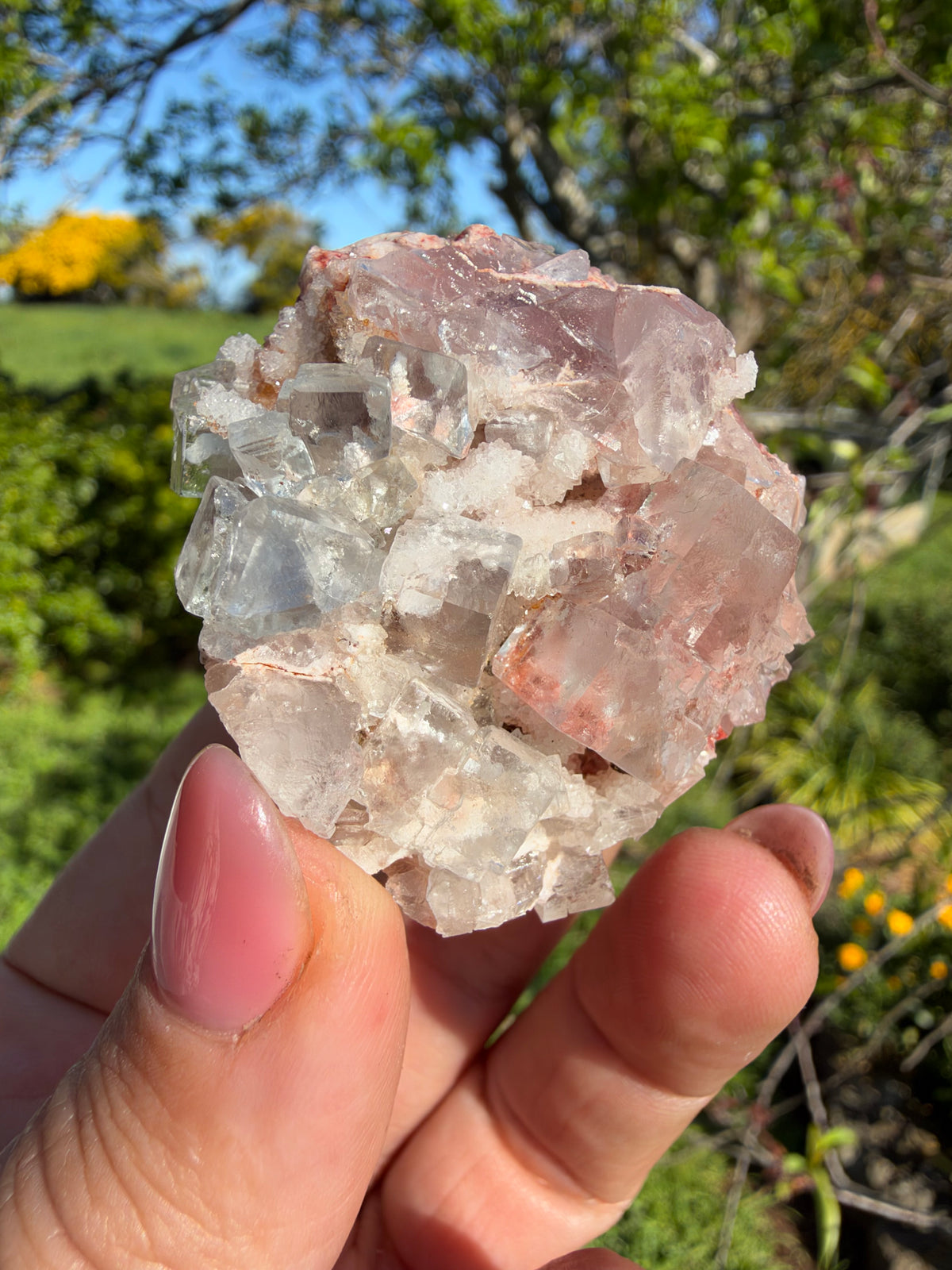 Lilac Fluorite, Hilarion Mine, Lavrion, Greece