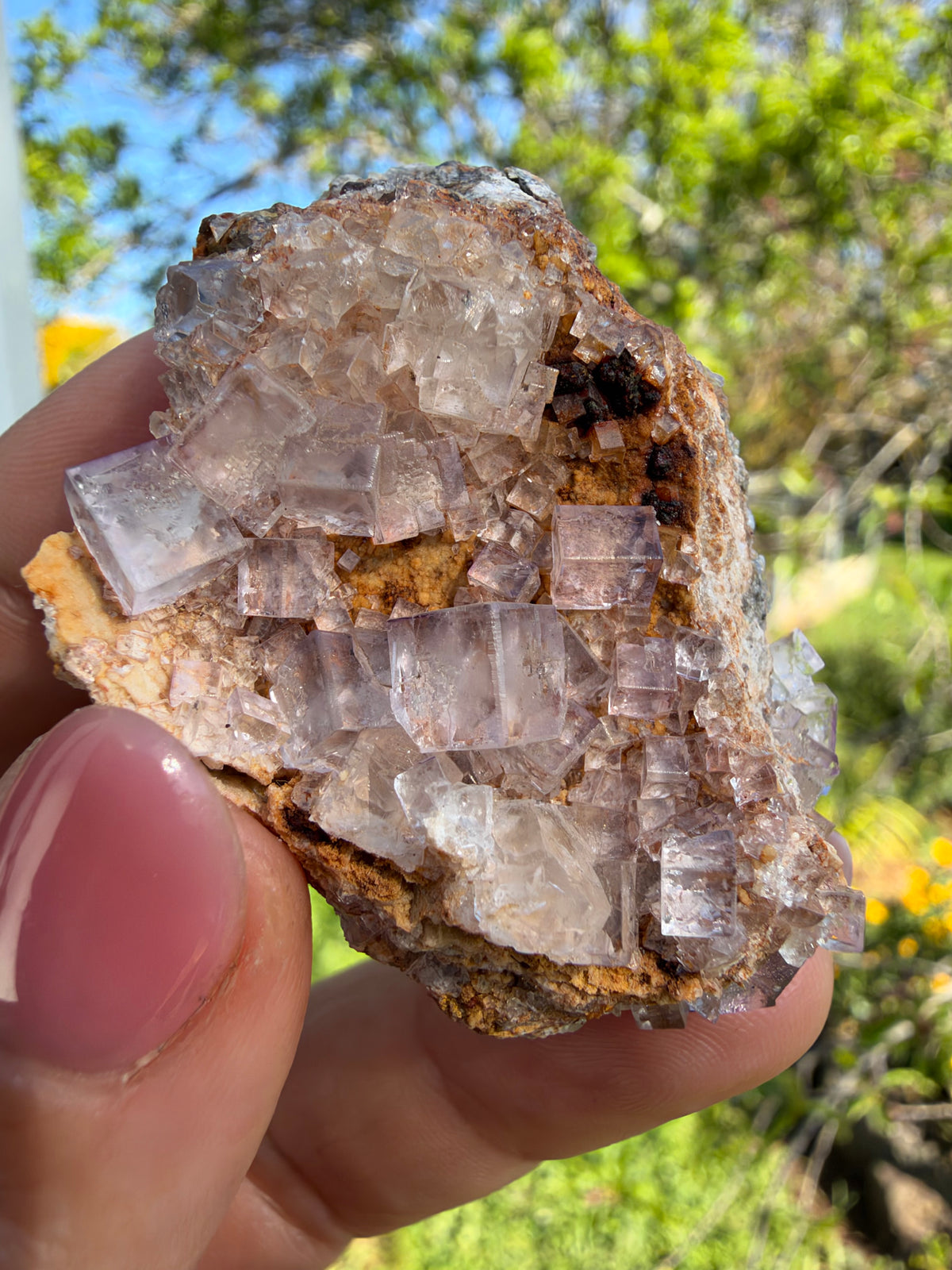 Fluorite, Hilarion Mine, Lavrion, Greece
