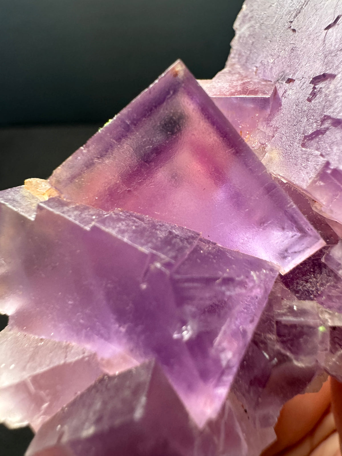 Purple Fluorite, Berbes, Spain