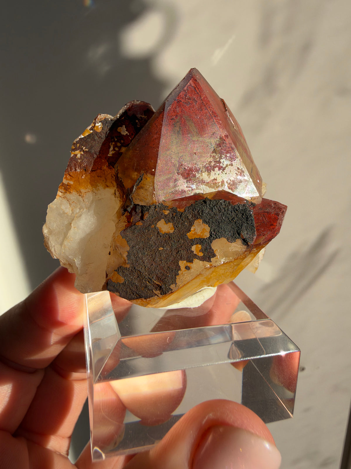 Ferruginous Quartz, Tizrine, Morocco