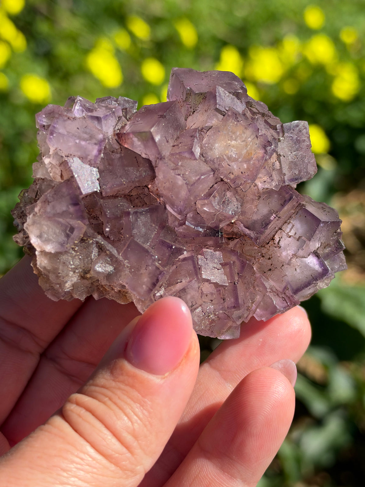 Fluorite, Turkey
