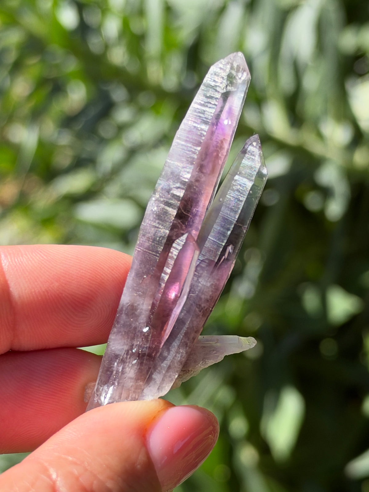 6.5cm Amethyst, Guerrero, Mexico