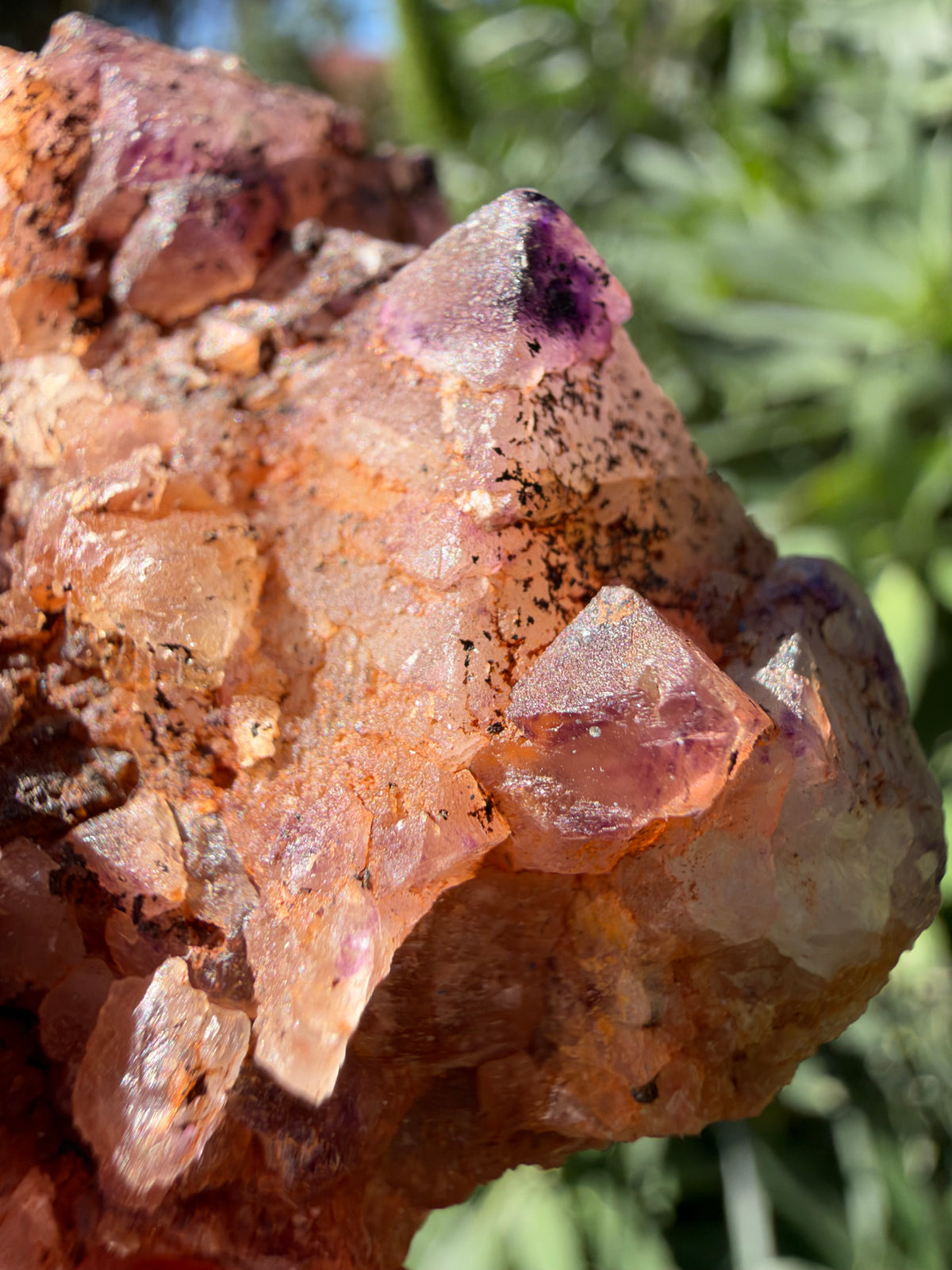 Octahedral Fluorite, Soldiers Cap, QLD, Australia