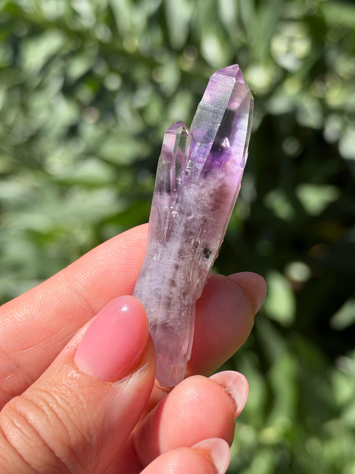 6cm Amethyst, Guerrero, Mexico