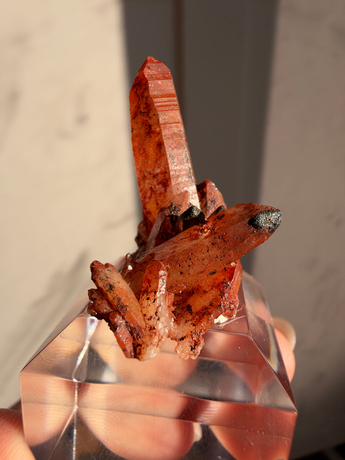 Ferruginous Quartz Miniature, Tinejdad, Morocco