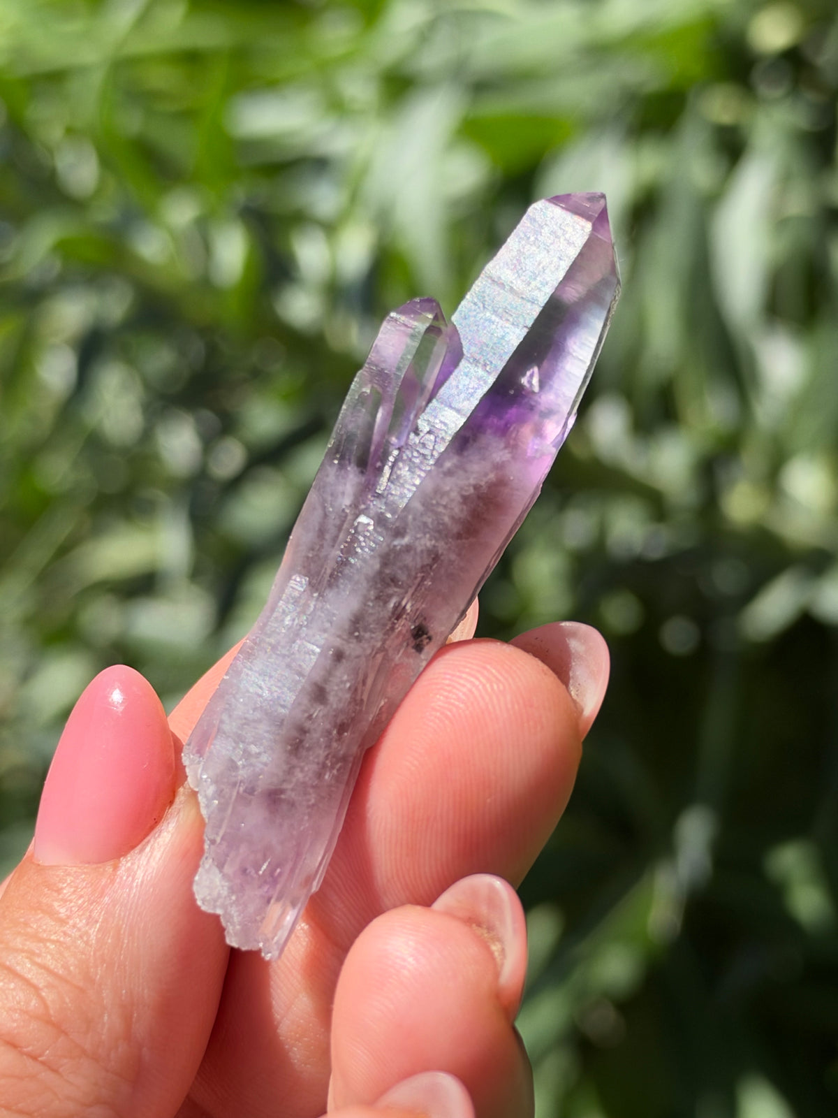6cm Amethyst, Guerrero, Mexico