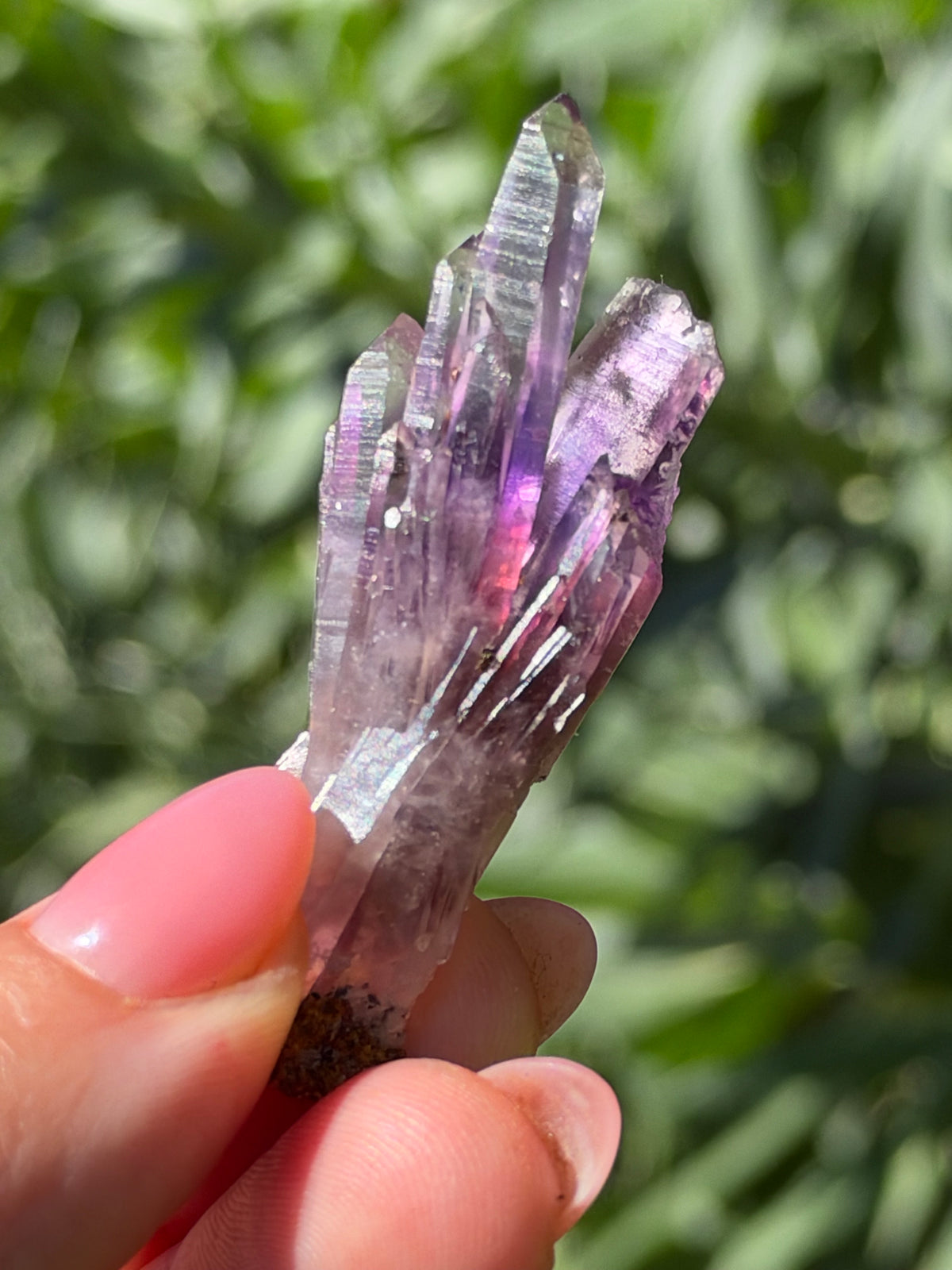5.8cm Bowtie Amethyst, Guerrero, Mexico