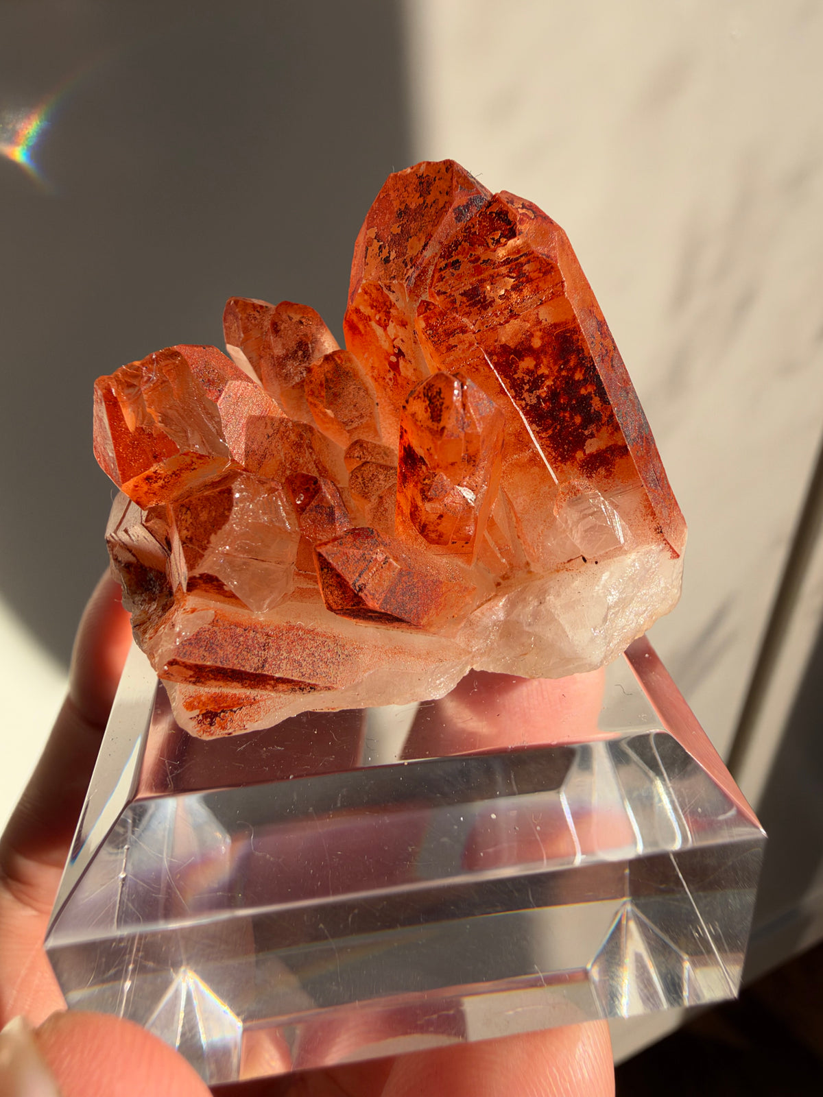 Ferruginous Quartz, Tinejdad, Morocco