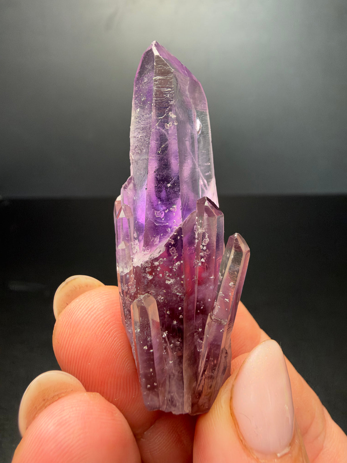 6.2cm Amethyst, Guerrero, Mexico
