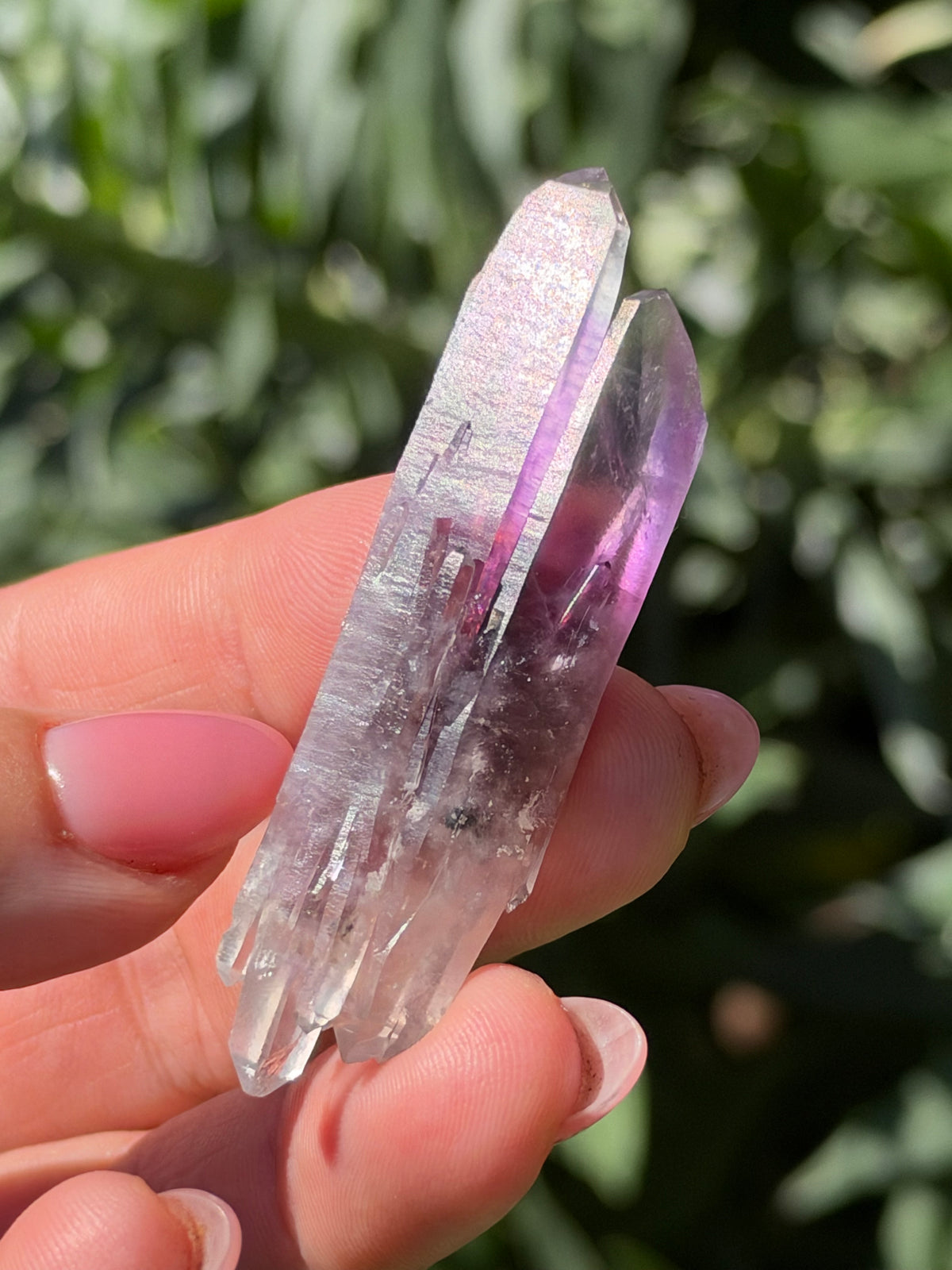 6.3cm Bowtie Amethyst, Guerrero, Mexico