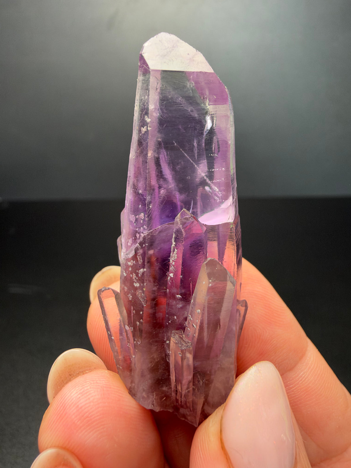 6.2cm Amethyst, Guerrero, Mexico