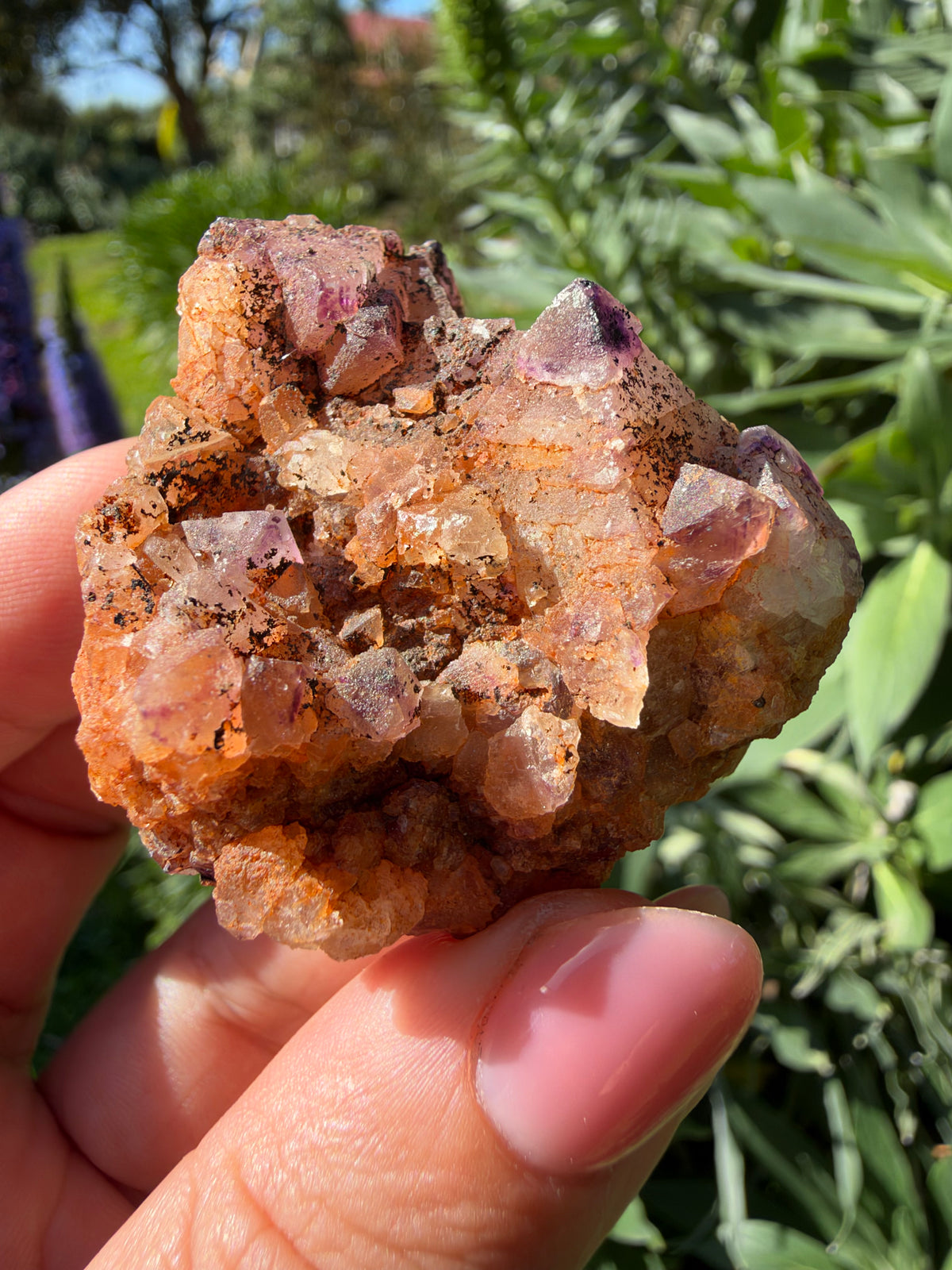 Octahedral Fluorite, Soldiers Cap, QLD, Australia