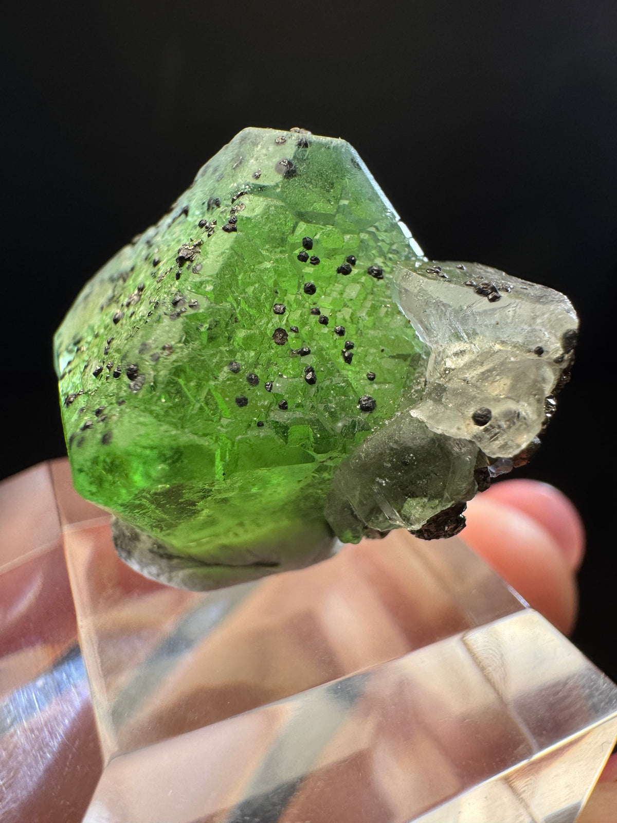 Fluorite with Sphalerite, Pyrite, Milpo Mine, Peru
