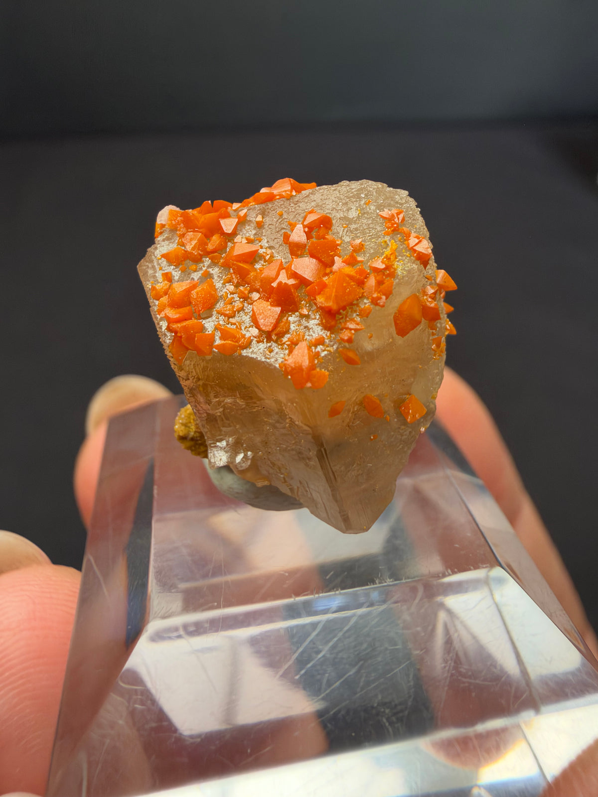 Wulfenite on Cerussite, Mibladen, Morocco