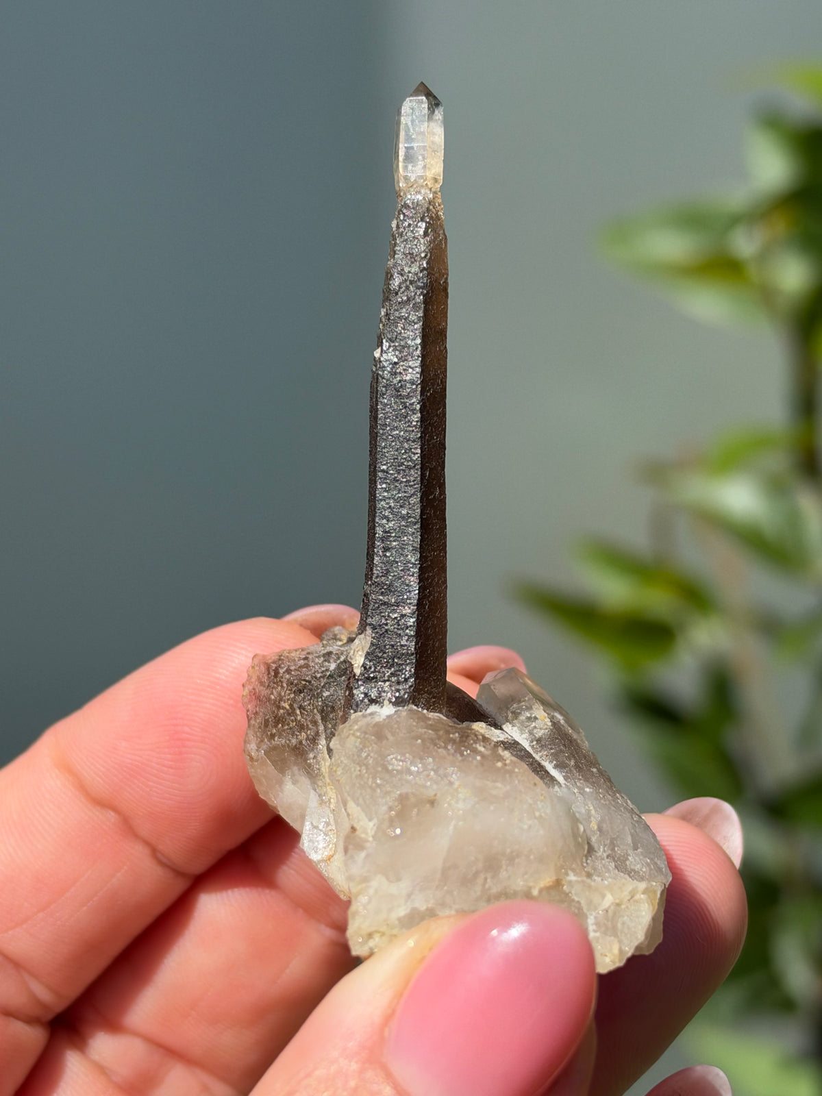 Smoky Quartz Scepter, Hallelujah Junction, Nevada, USA
