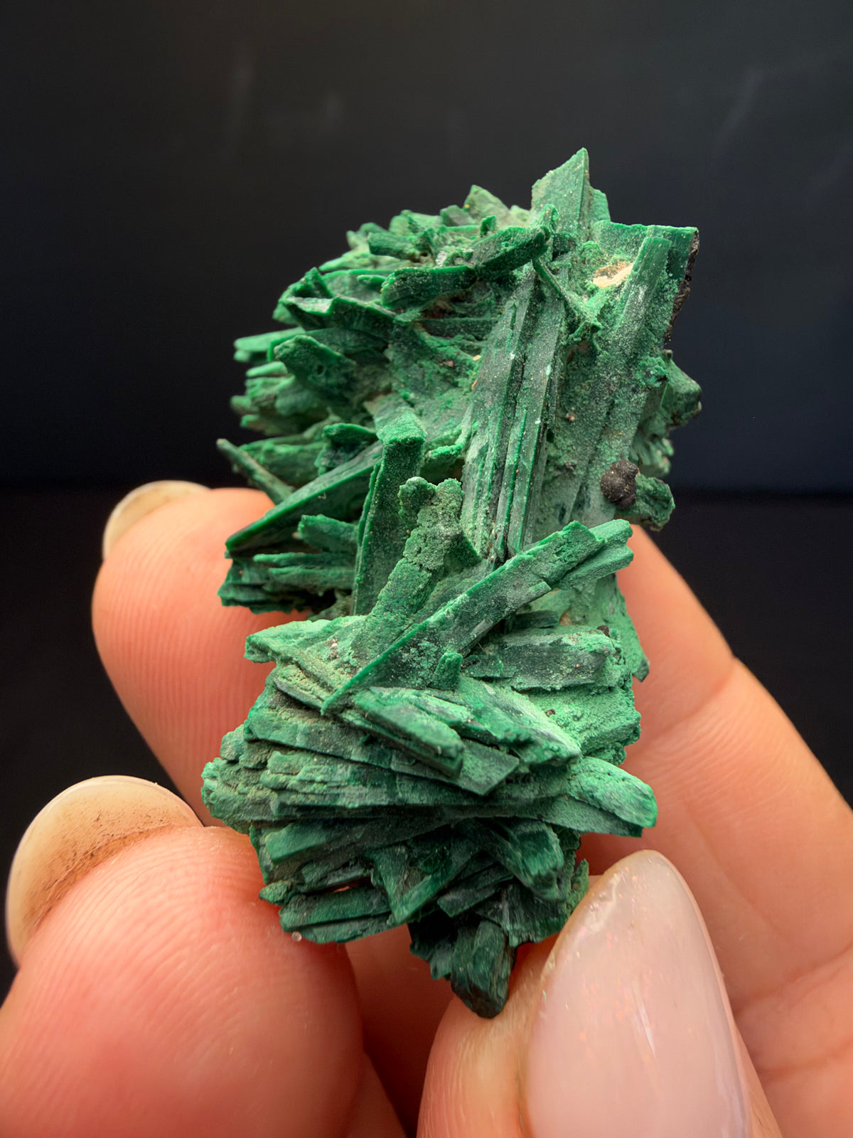 Malachite after Azurite (Pseudomorph), Kerrouchen, Morocco