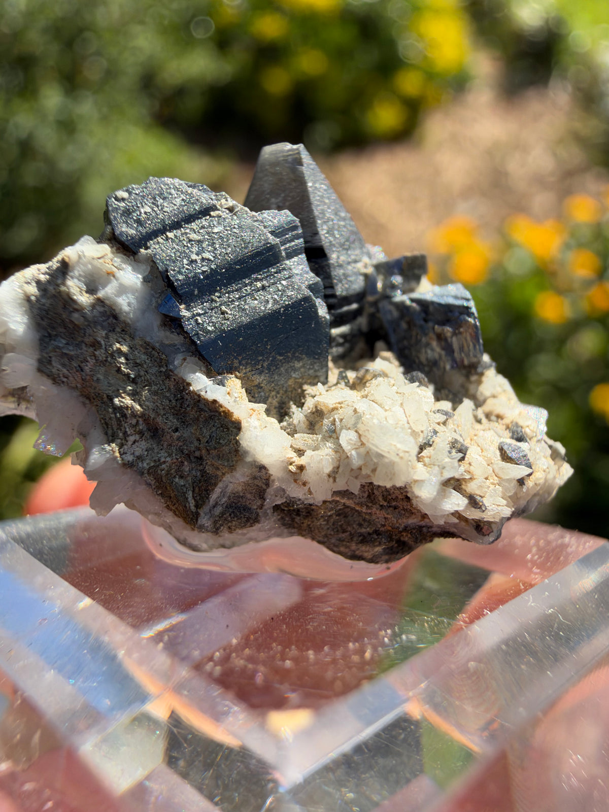 Anatase, Matskorhæ, Norway
