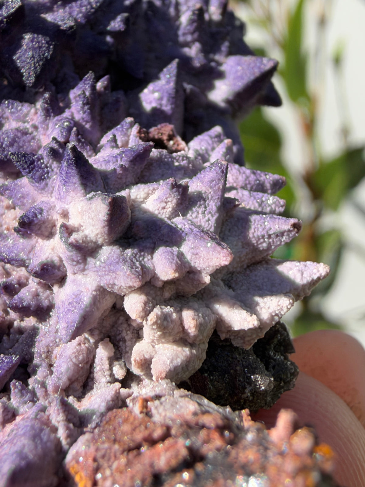 Fluorite on Calcite, Tres Marias Mine, Mexico