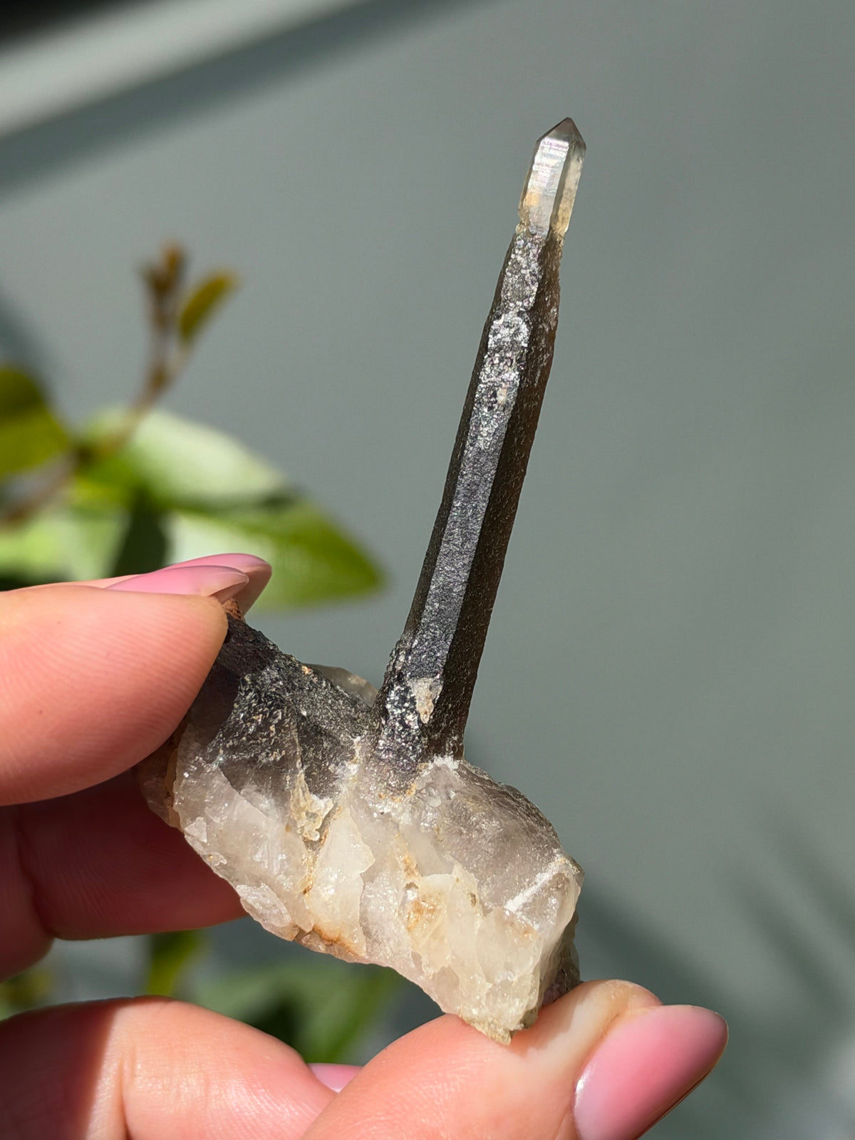 Smoky Quartz Scepter, Hallelujah Junction, Nevada, USA