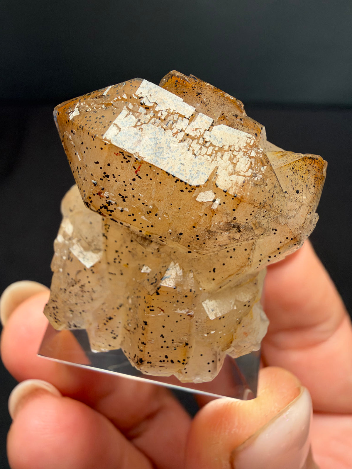 Quartz with Goethite, Tizirine, Morocco