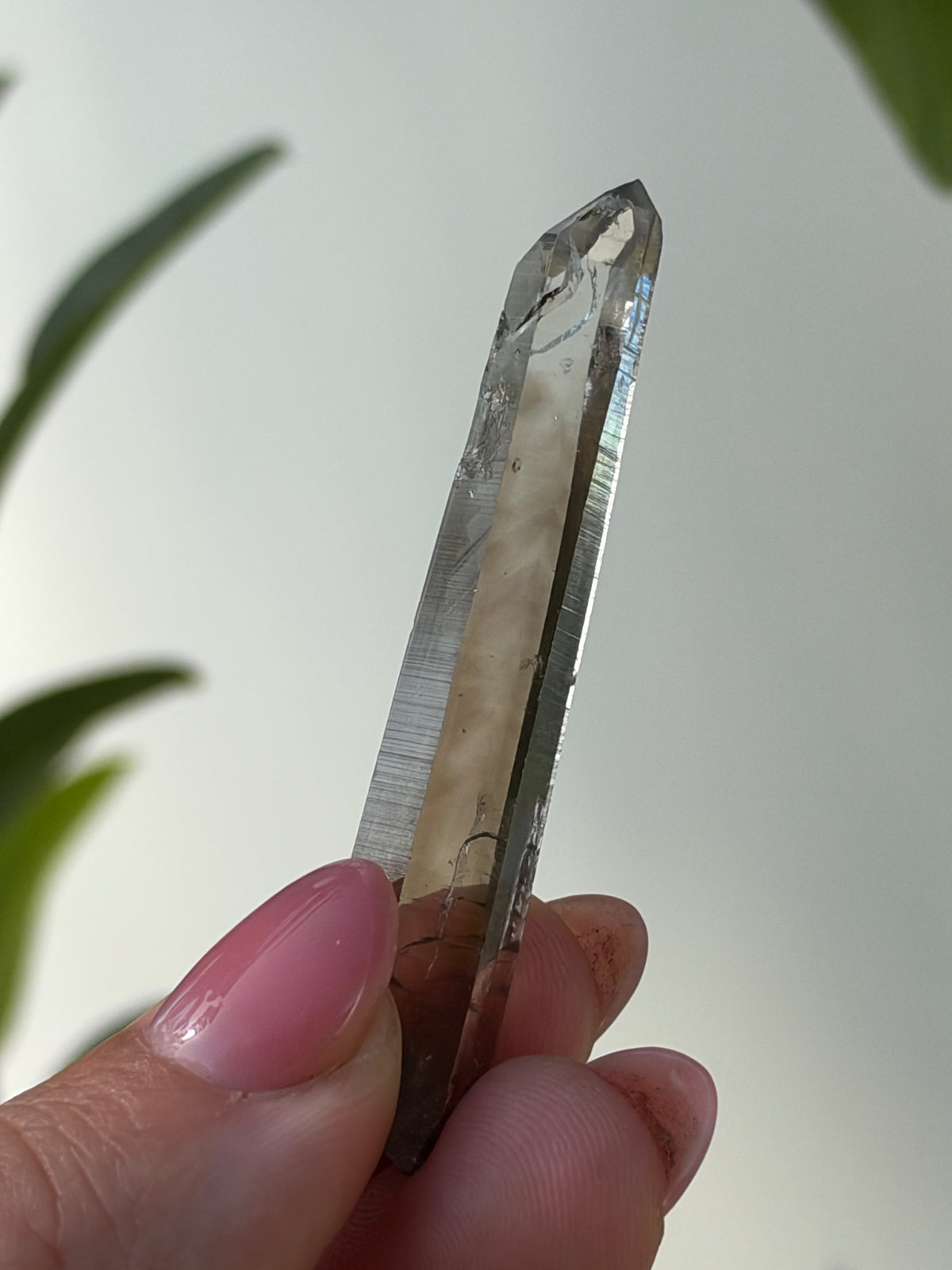 Smoky Quartz, Lincoln County New Mexico, USA
