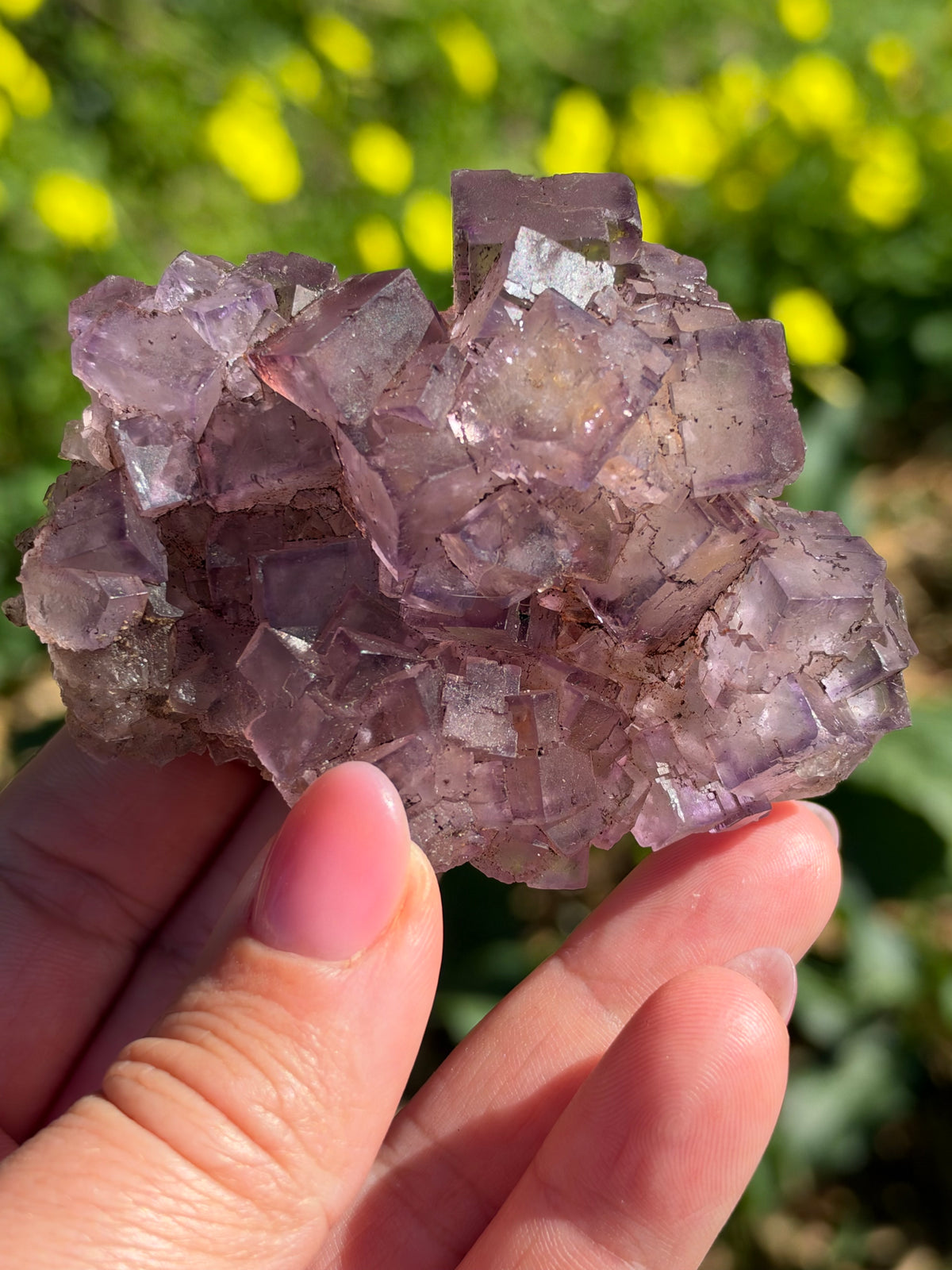 Fluorite, Turkey