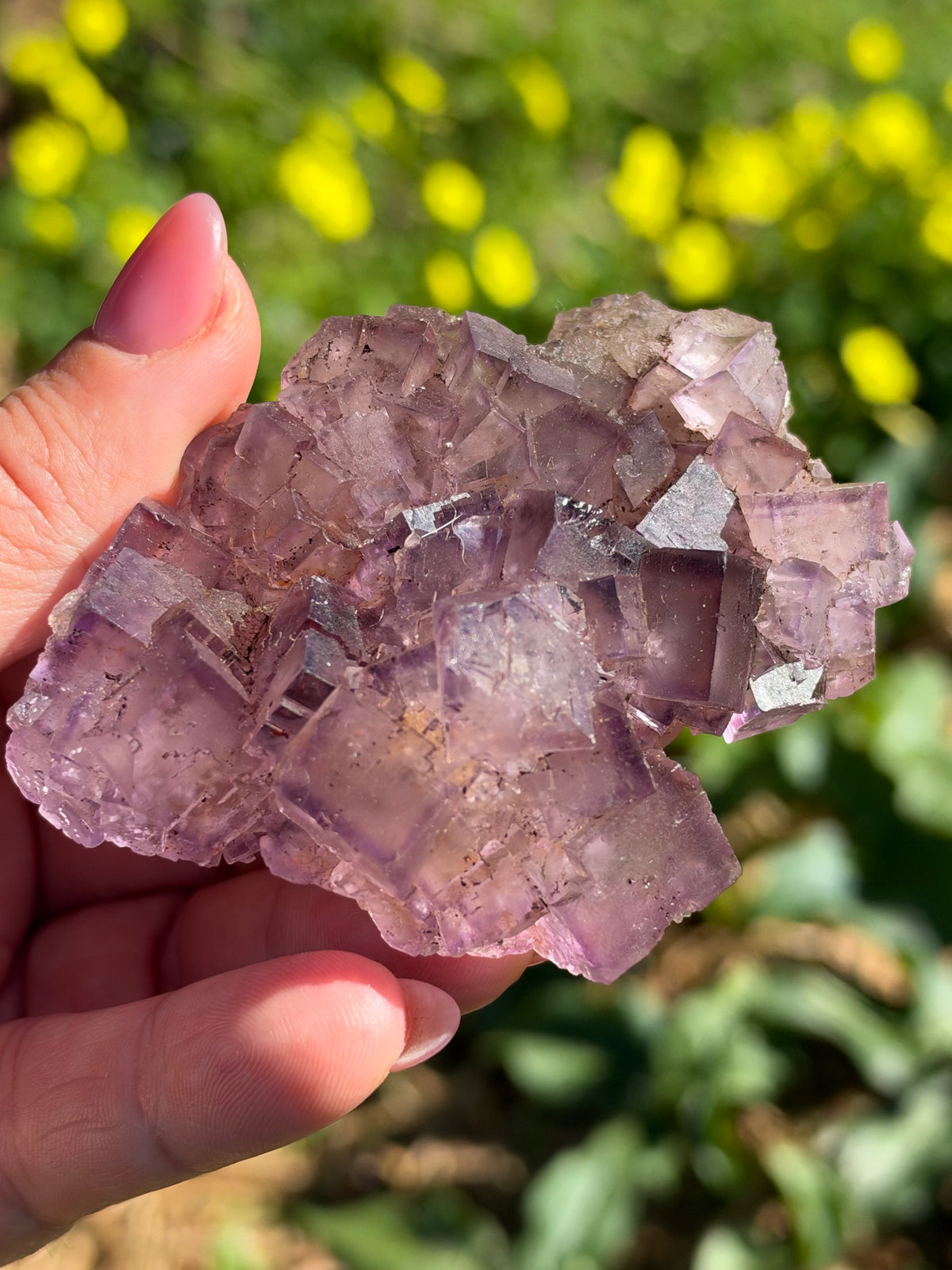 Fluorite, Turkey