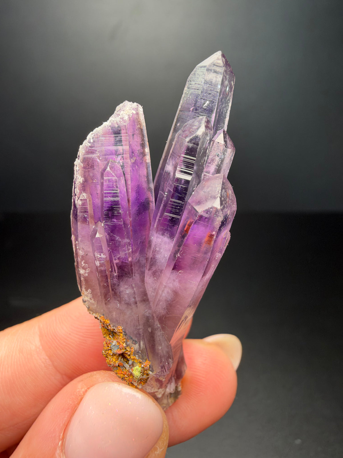 5.8cm Bowtie Amethyst, Guerrero, Mexico
