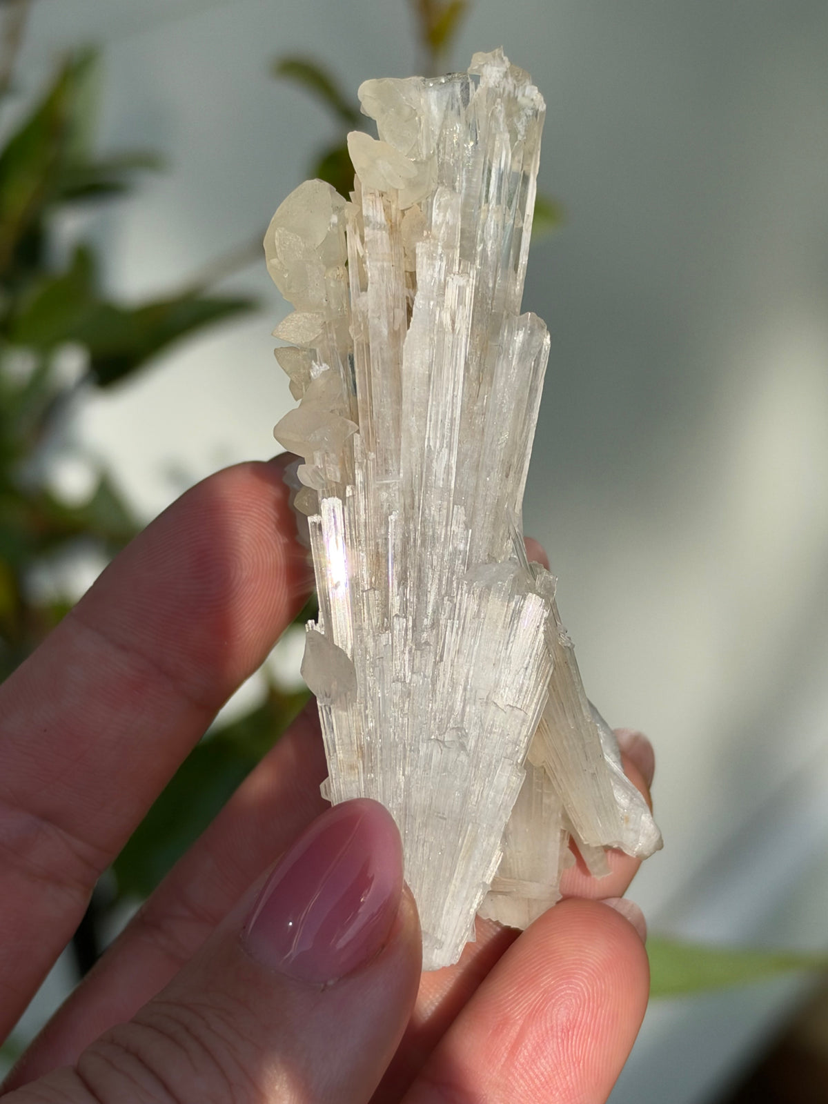Calcite on Scolecite, Pune, India