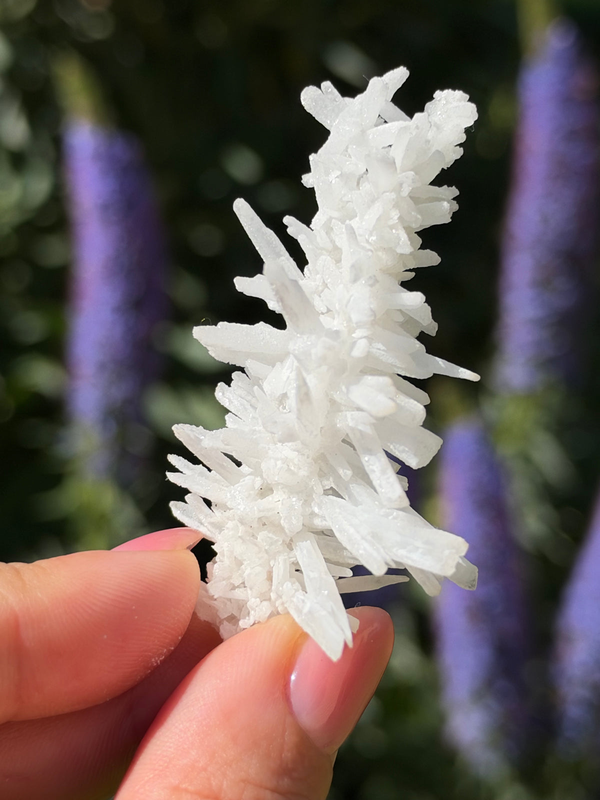 Aragonite, Kharan, Pakistan
